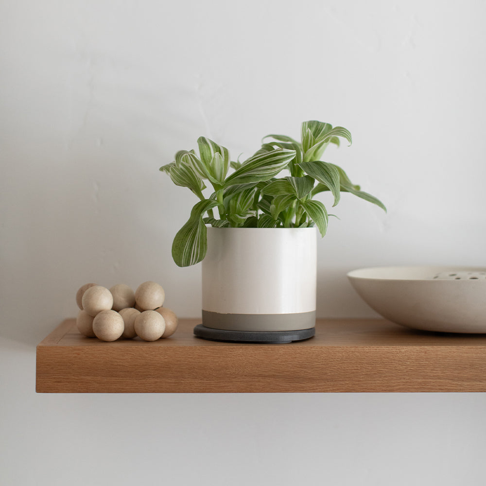 small planter on top of plant saucer to precent water damage