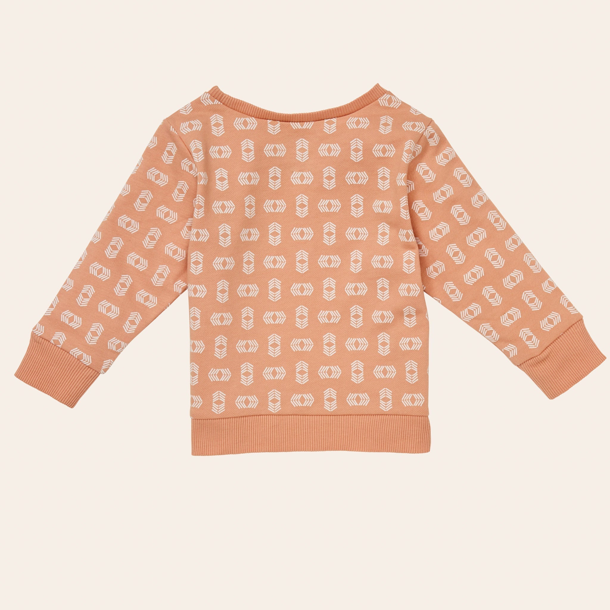 Springfield Sweatshirt (Sasha)