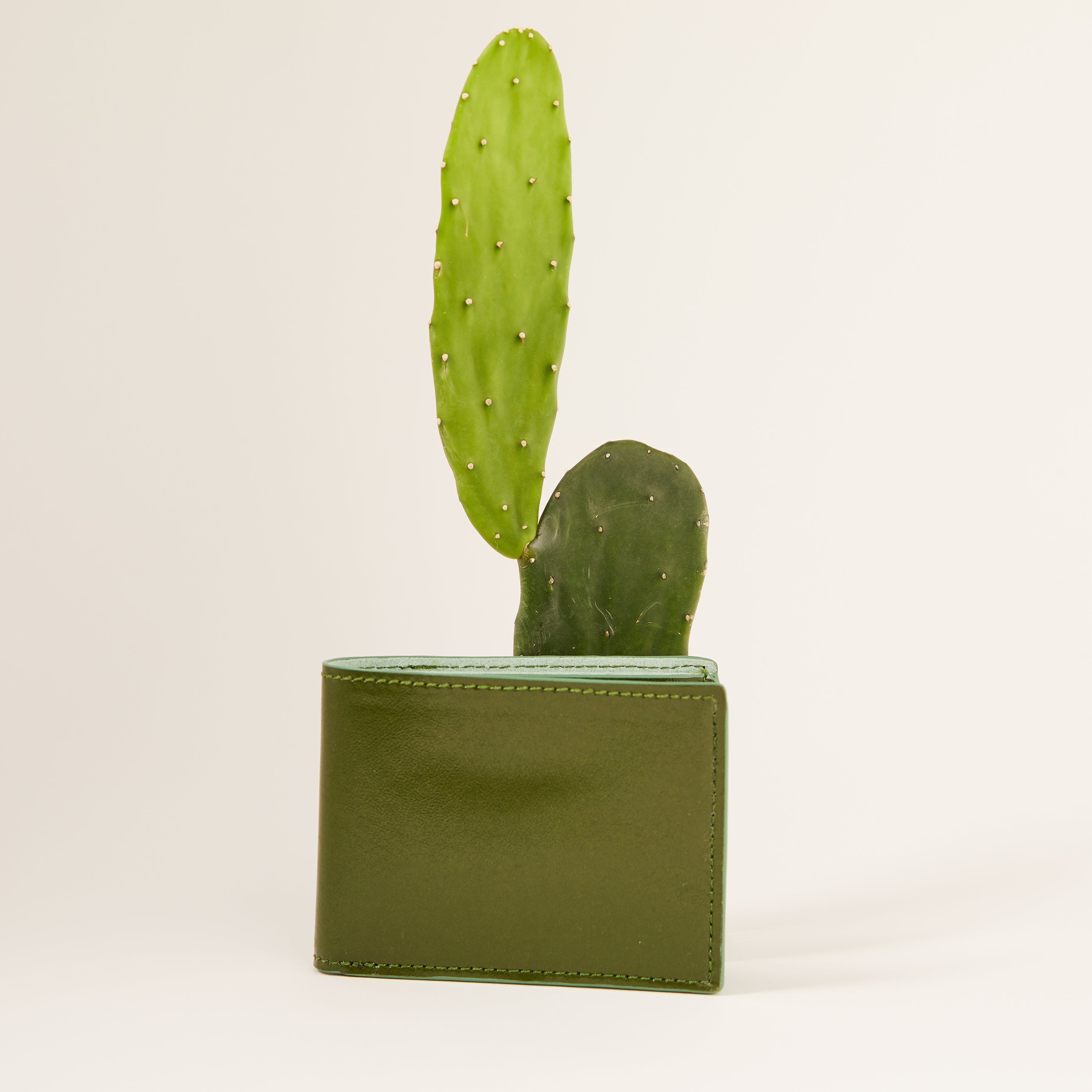 Cactus Bifold Wallet (Seaglass)
