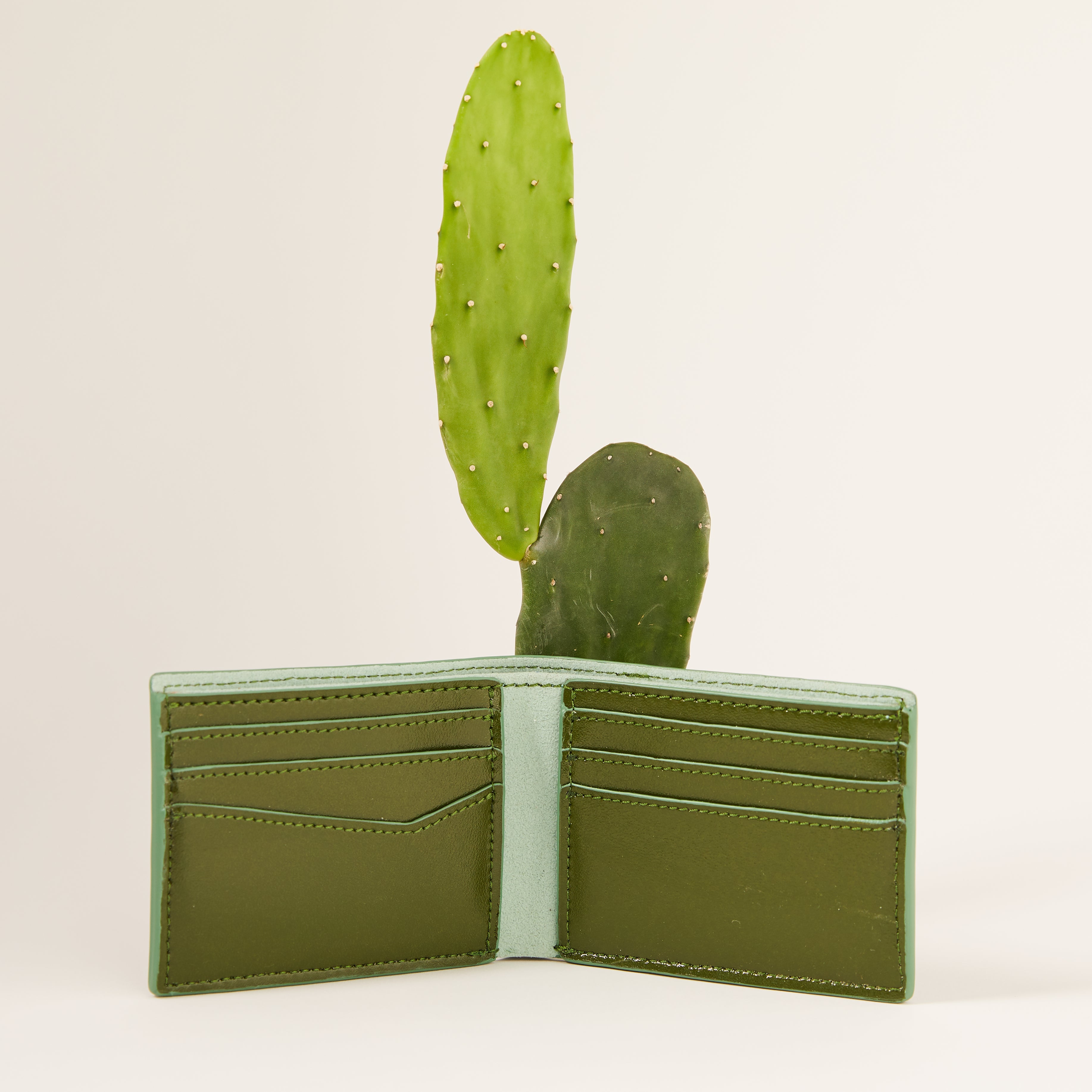 Cactus Bifold Wallet (Seaglass)