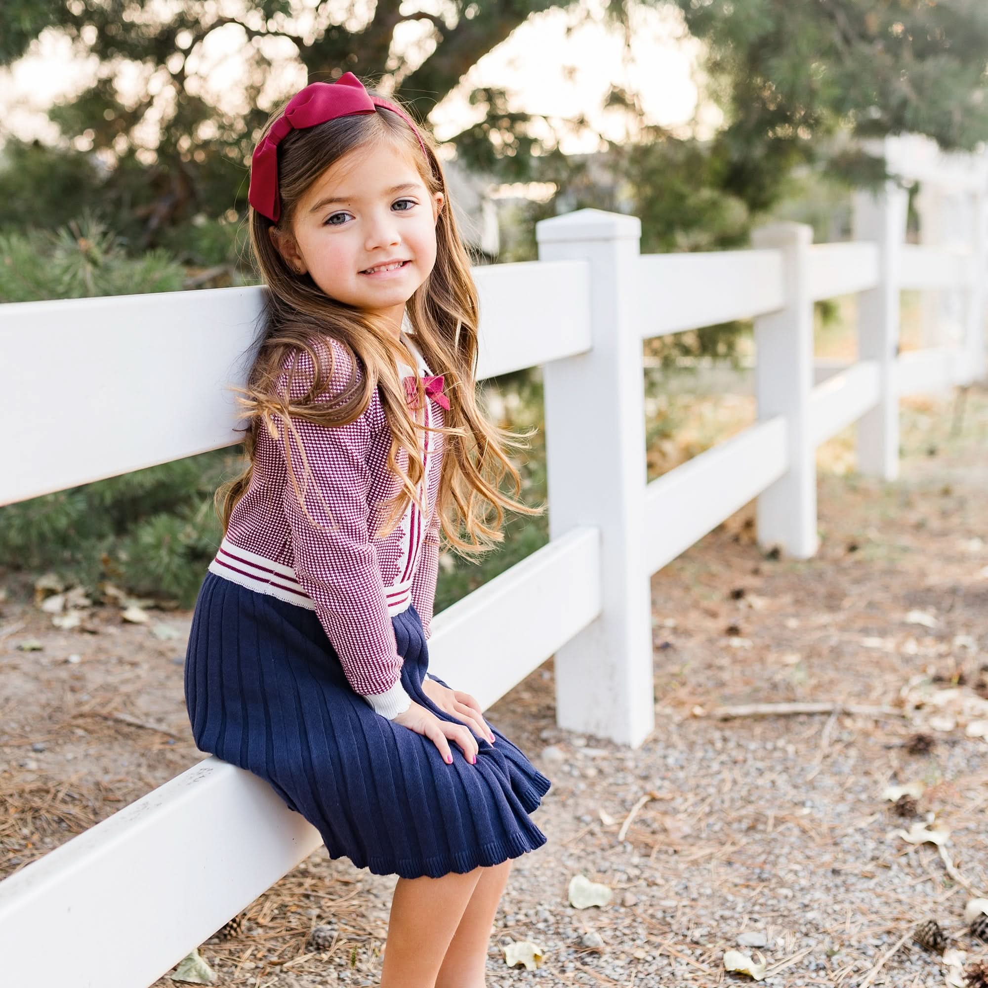 French Blocked Sweater Dress (Berry & Navy)