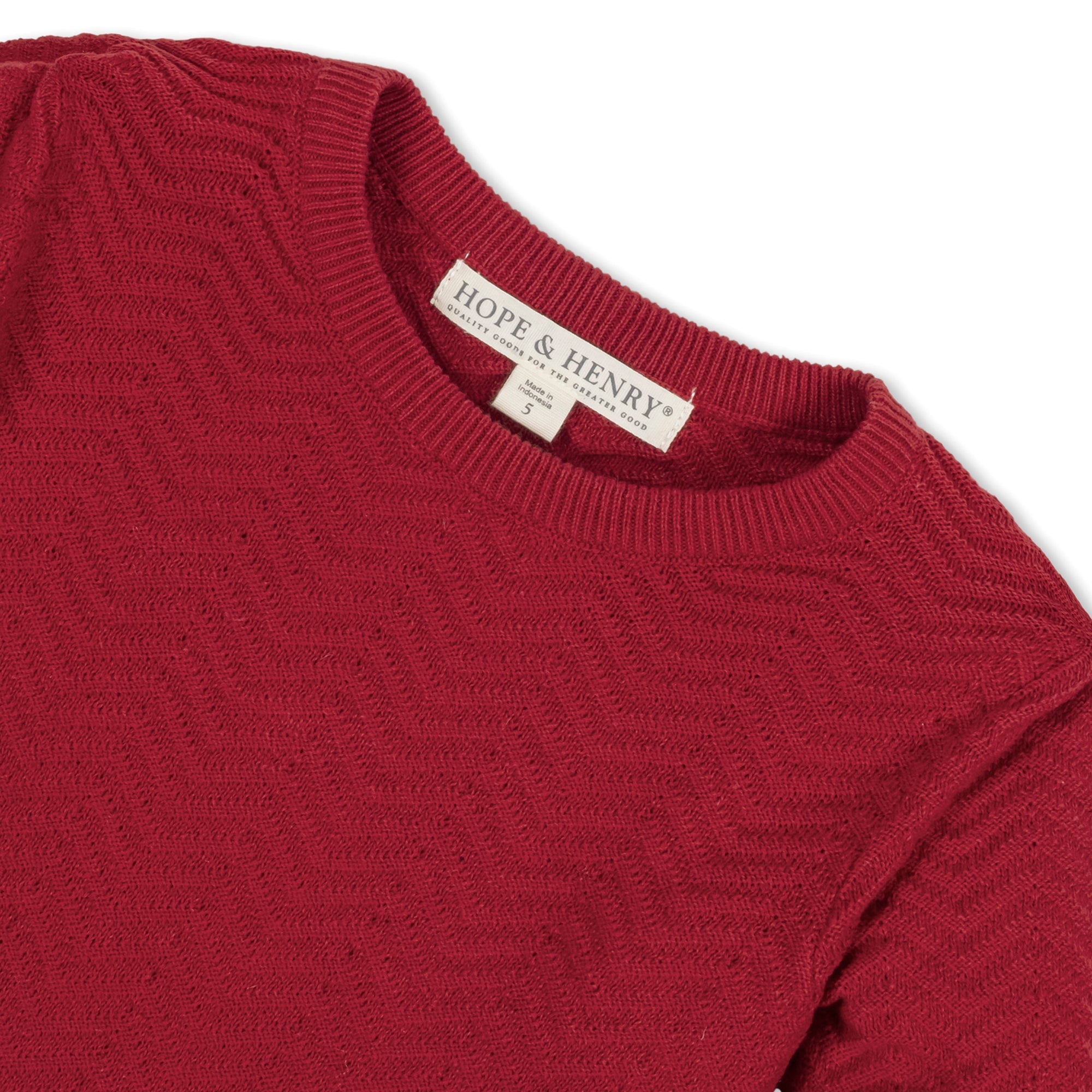 Balloon Sleeve Sweater Dress (Red 2T-12)