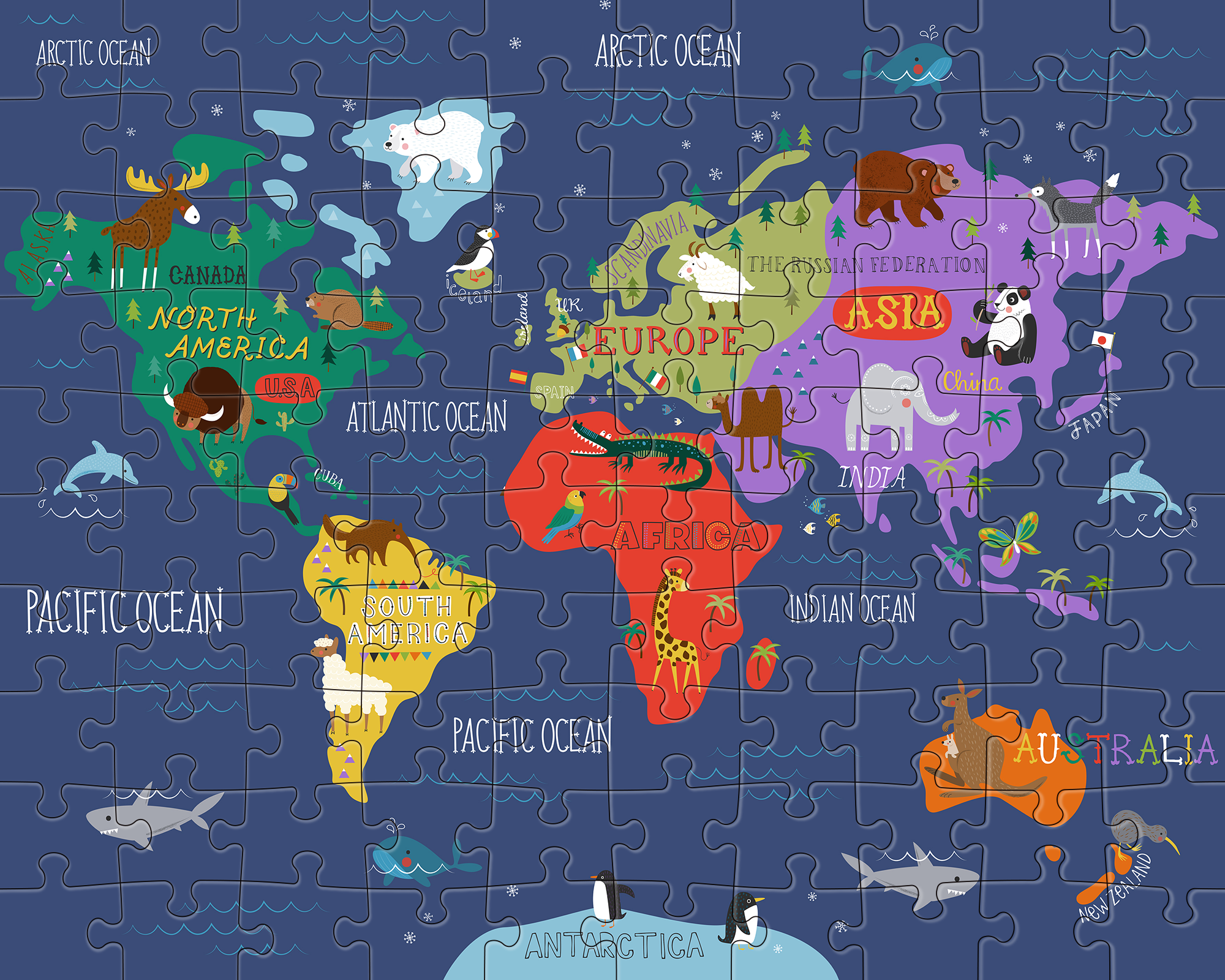 JIGGY Junior (Wild World)