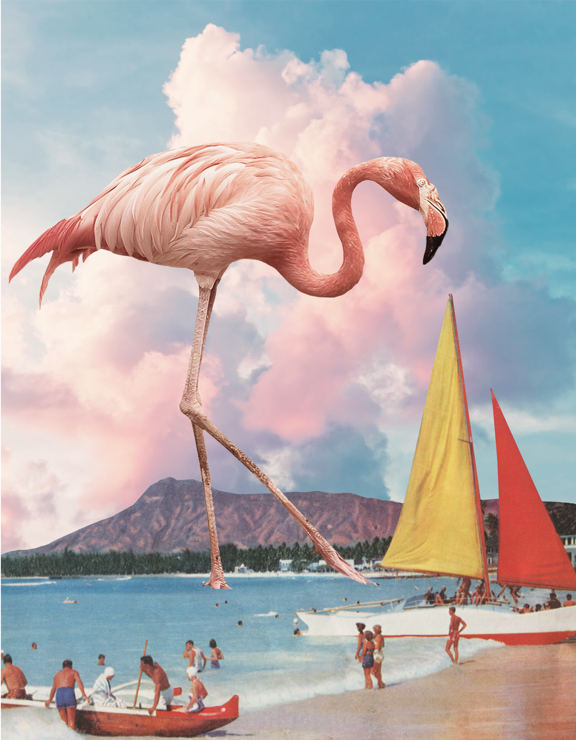 Flamingo Playground
