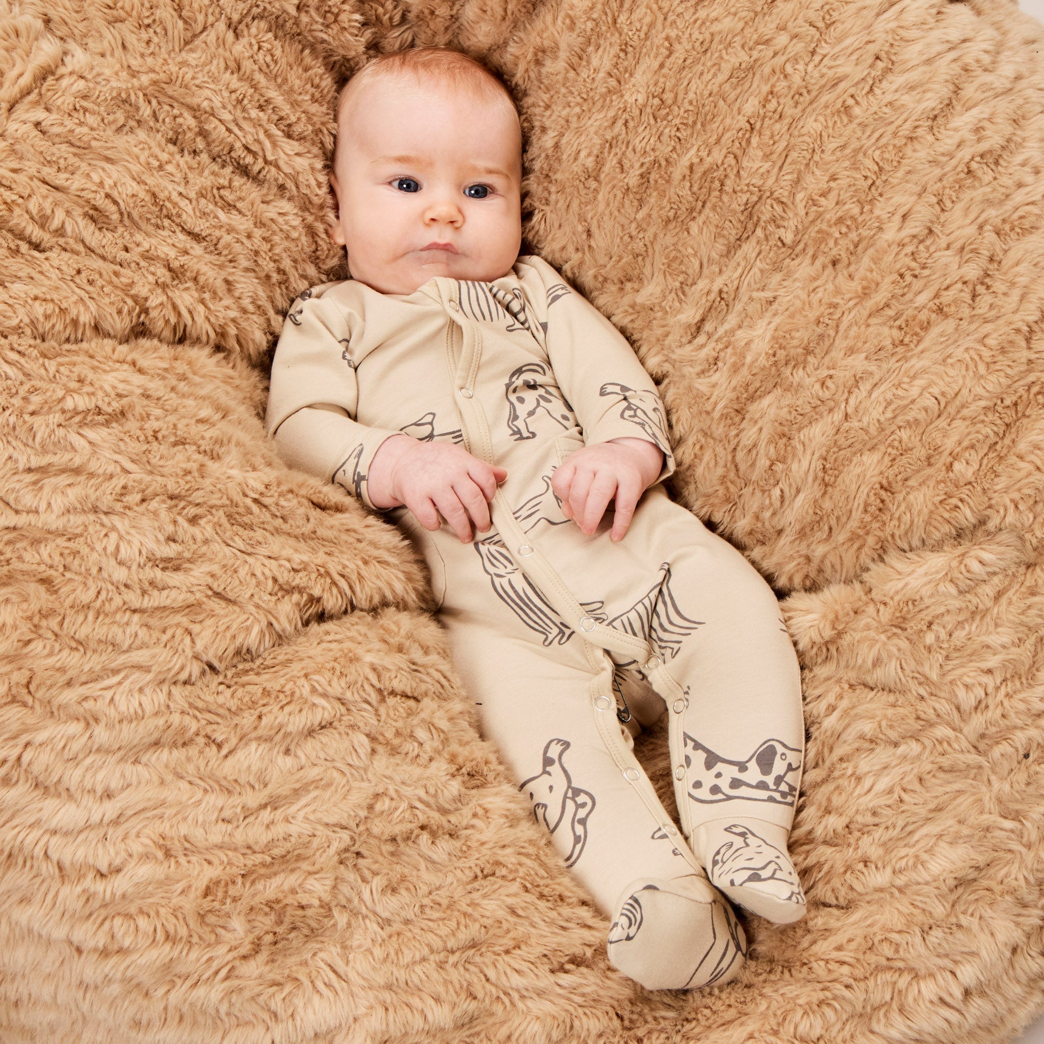 Little Rock Sleeper (Roger)