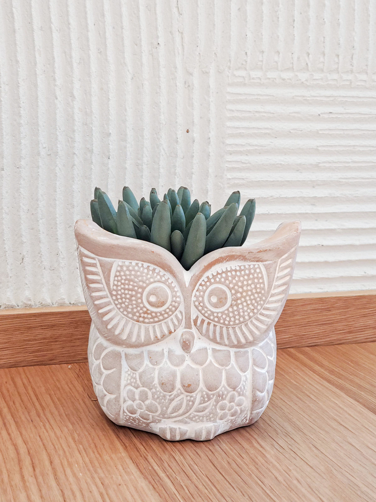 Terracotta Pot (Big Eye Owl)