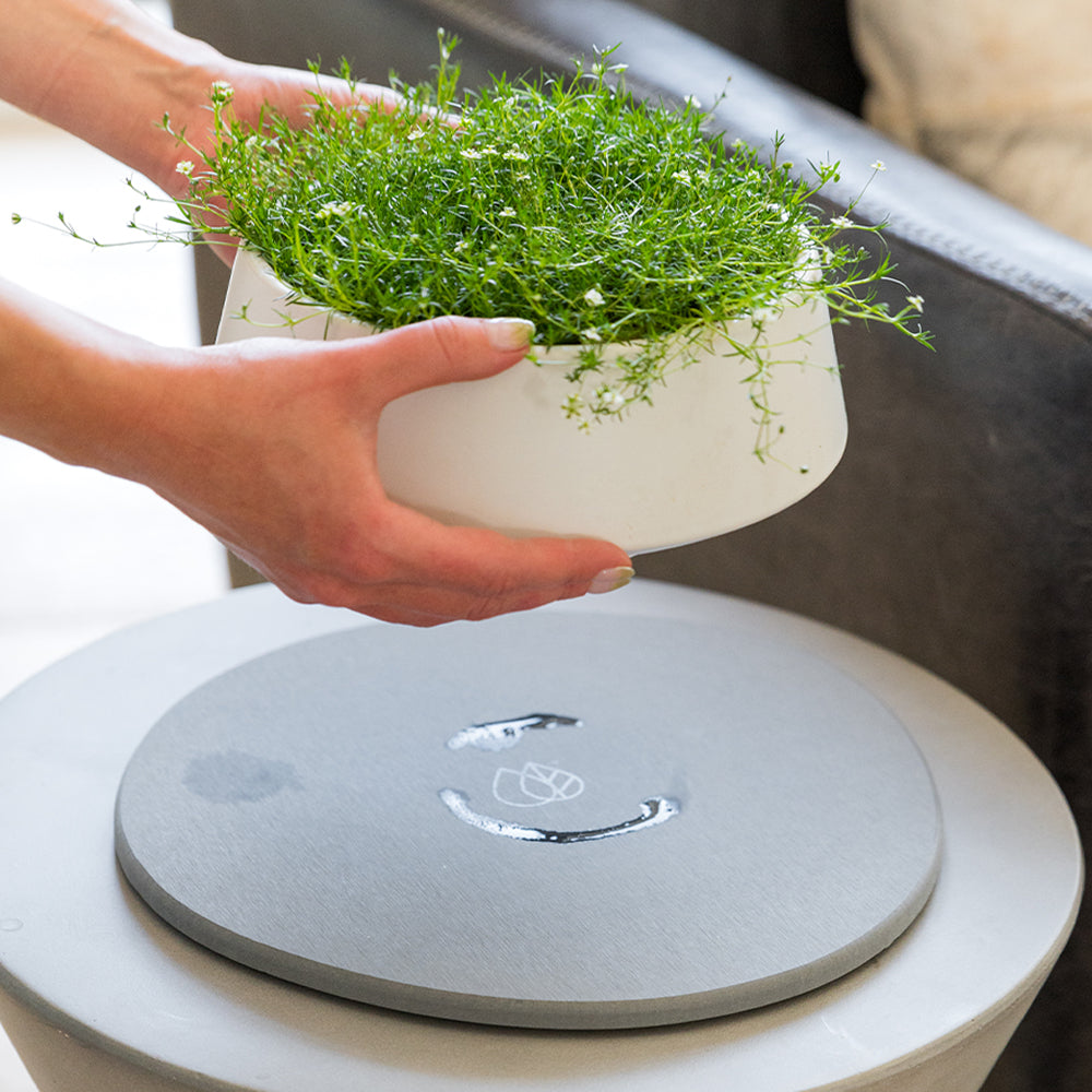 Stone Plant Saucer - 2 Large