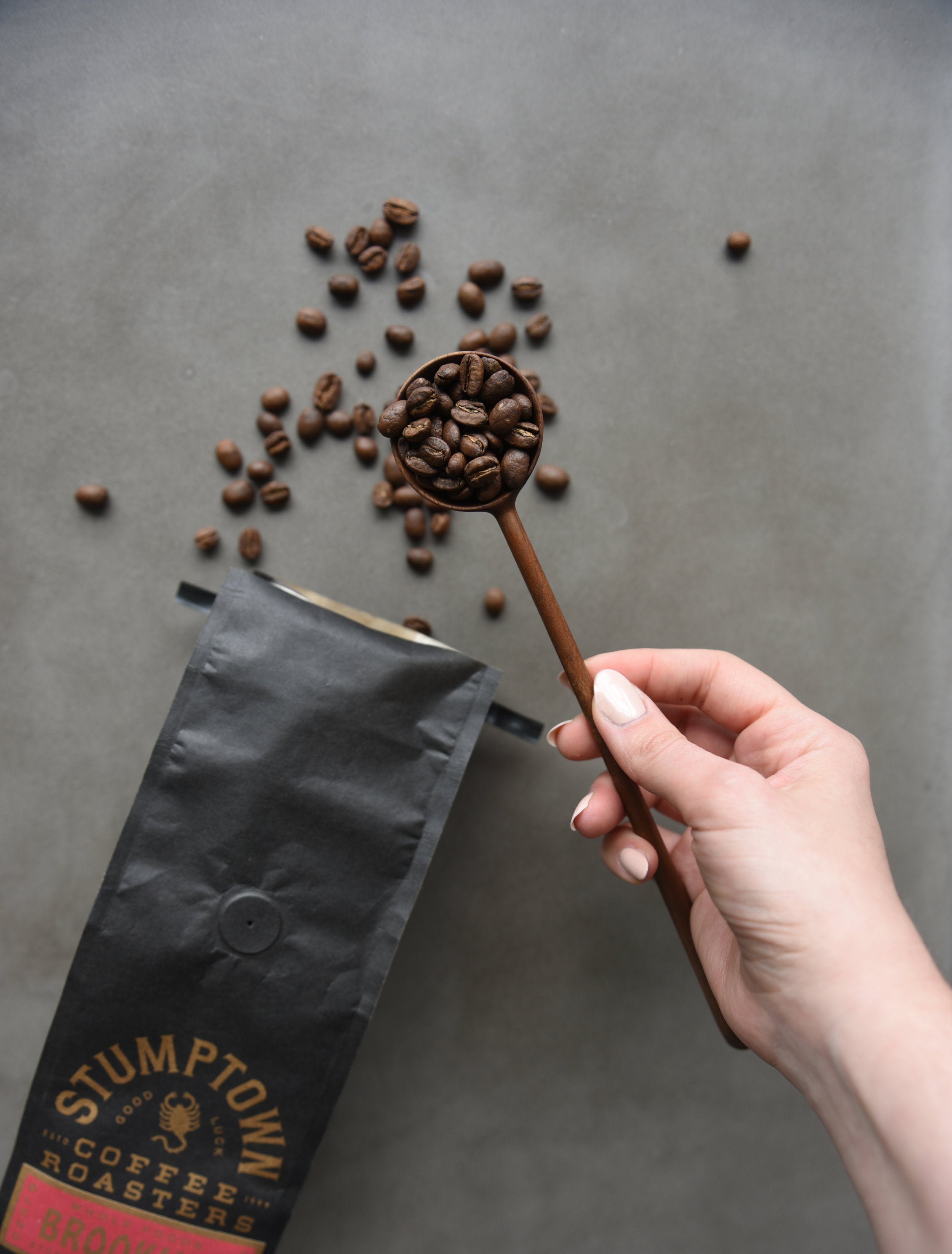 Big Walnut Coffee Spoon