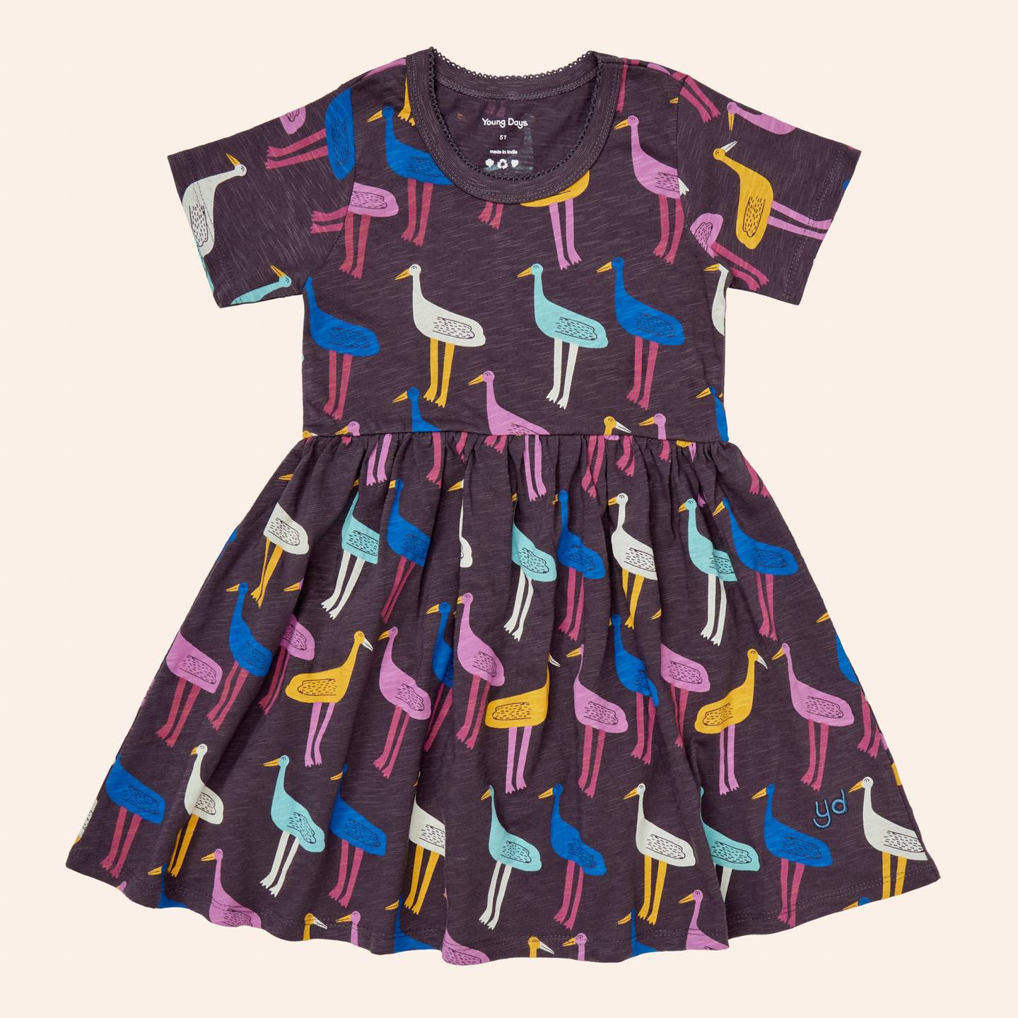 Pismo Dress (Damien)