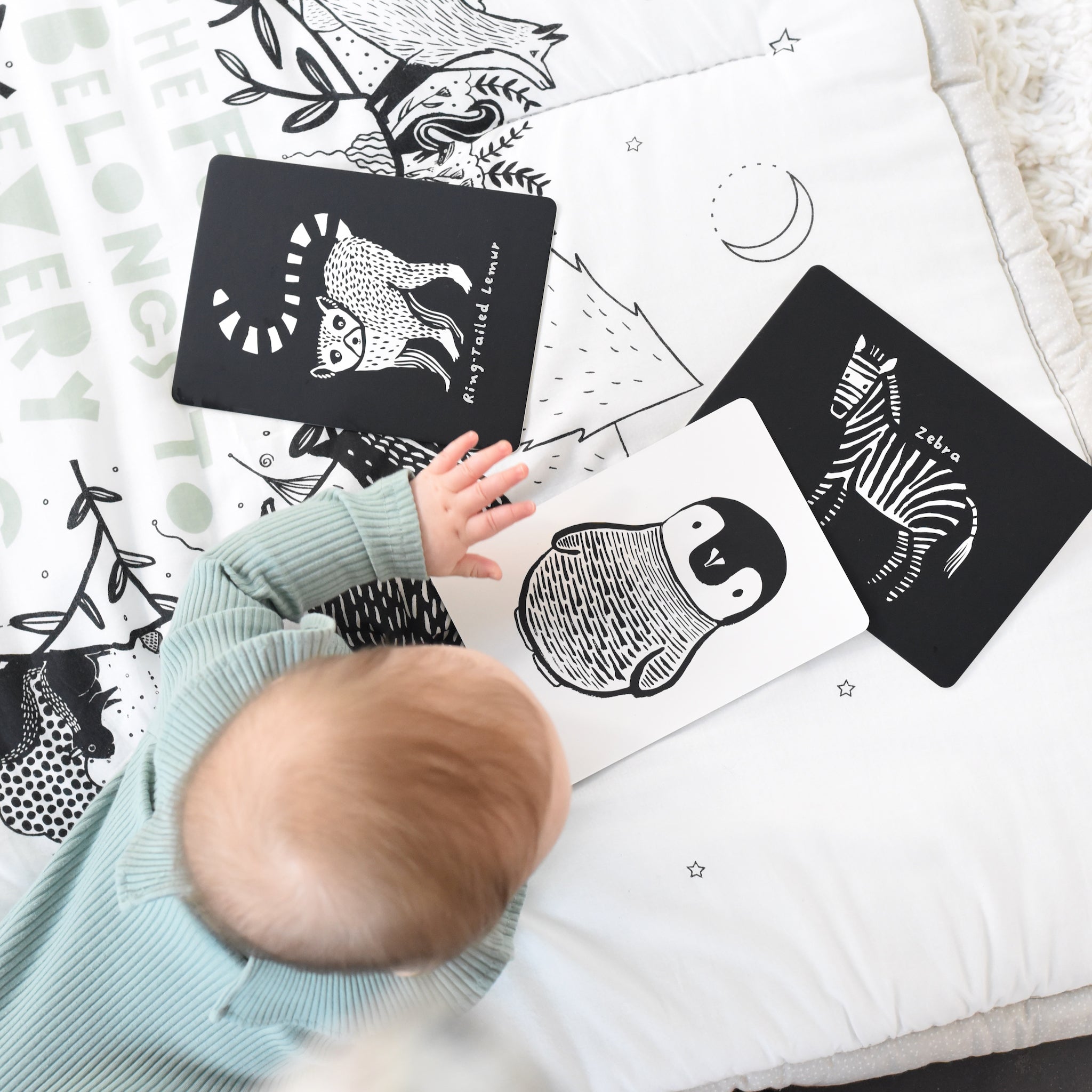 Art Cards for Baby (Black and White Collection)