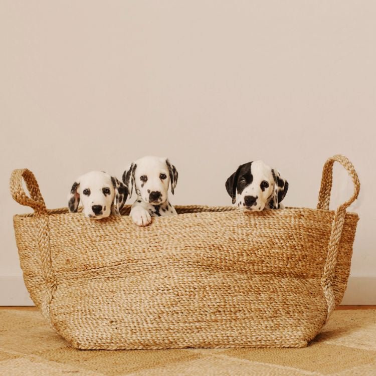 Large Jute Basket (Natural)