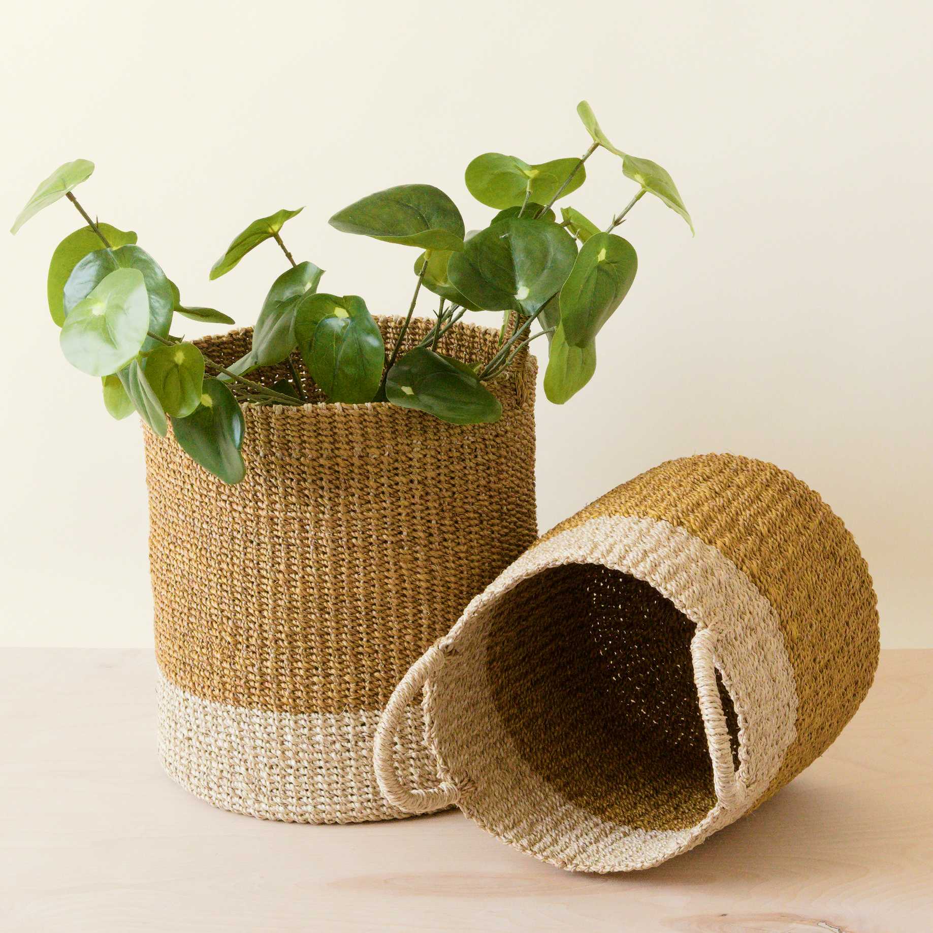- Mustard Baskets with Handle, set of 2 - Cylinder Baskets | LIKHA - LIKHÂ
