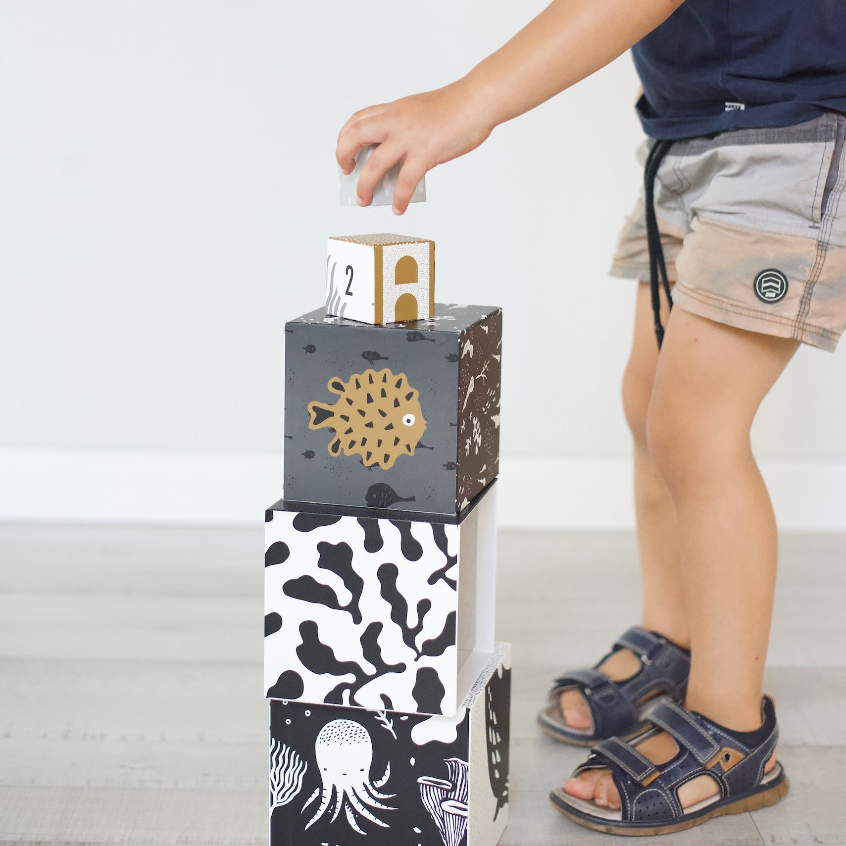 Nesting Blocks (Ocean Animals)