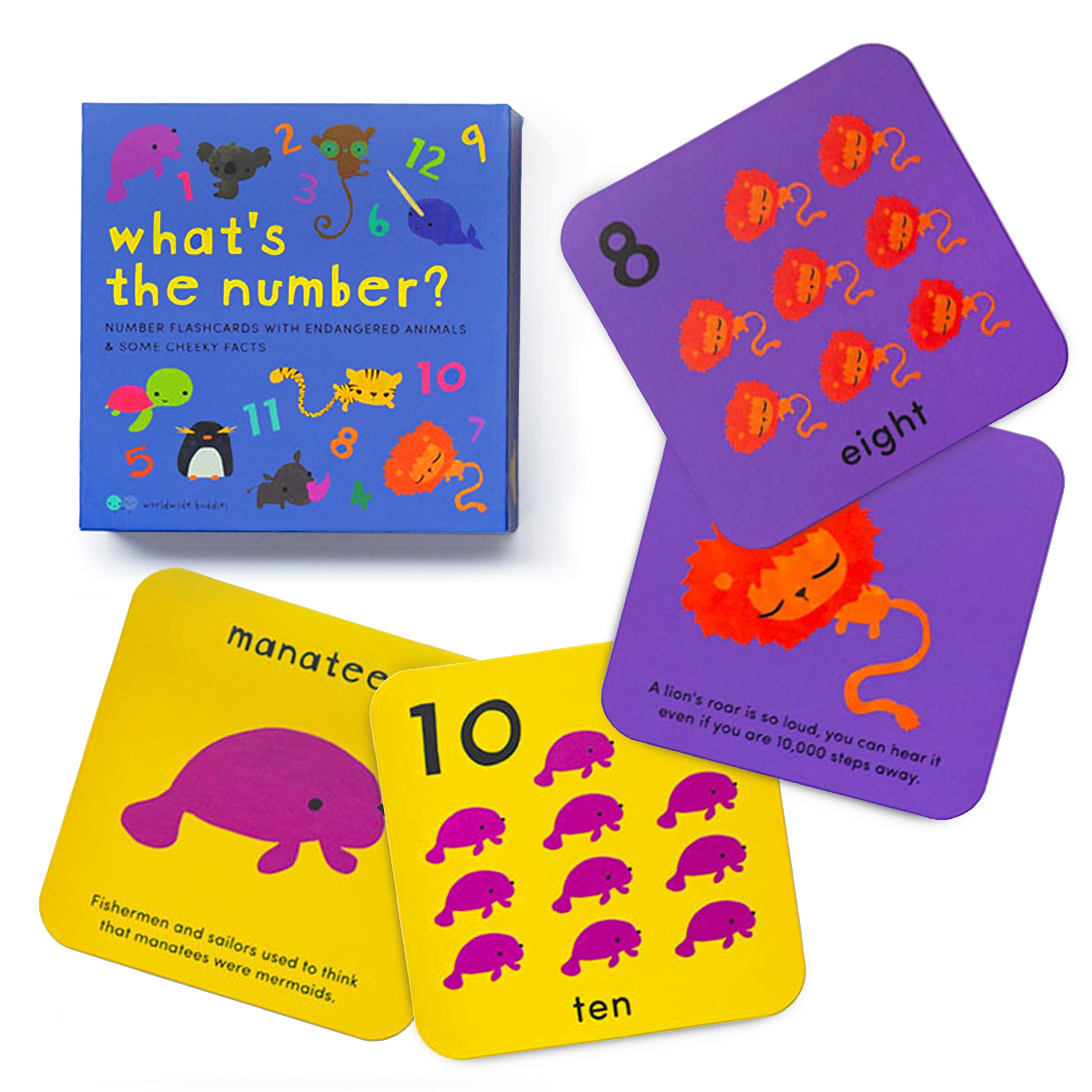 What's the Number? (Number Flashcards)