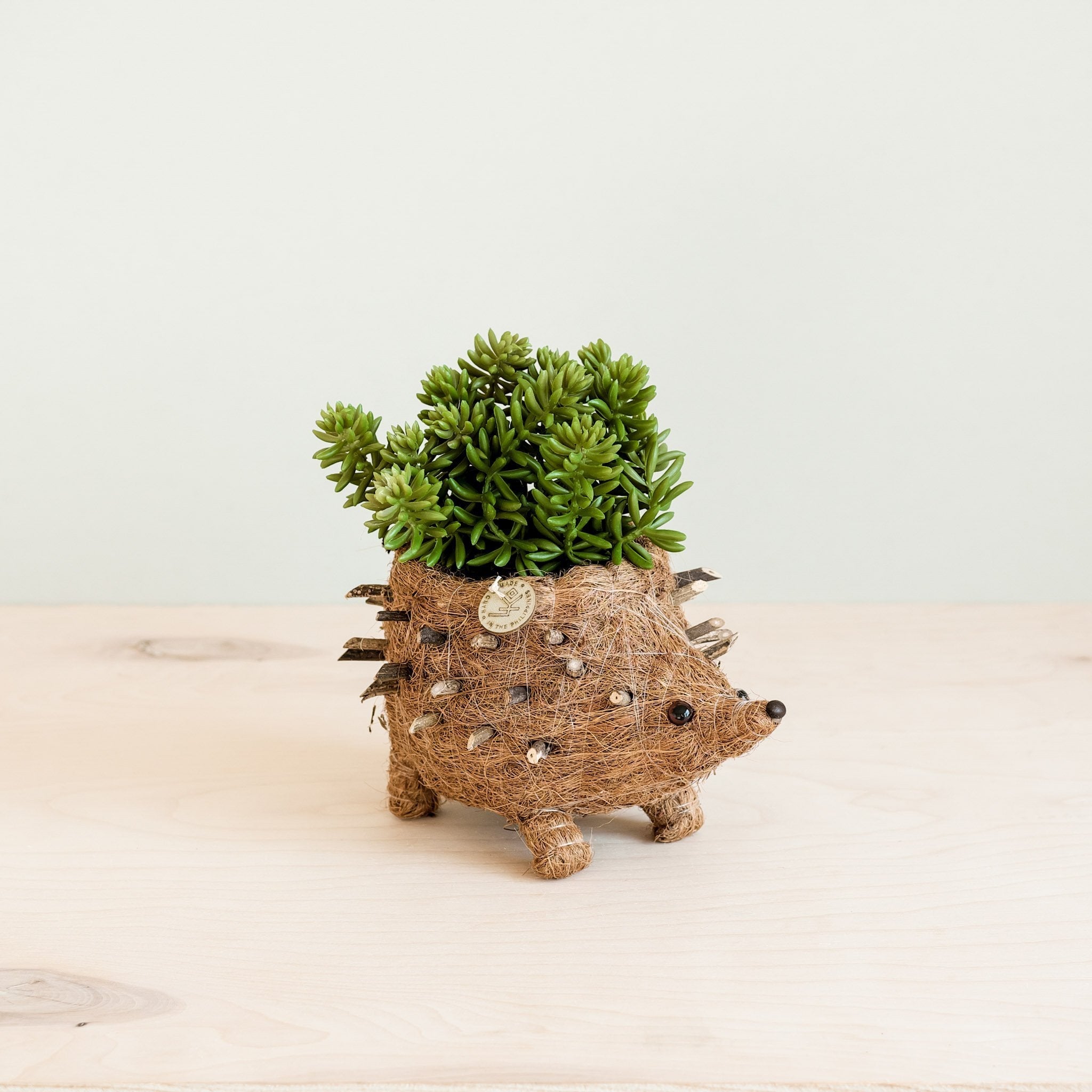 Planters - Baby Hedgehog Plant Pot - Handmade Planters | LIKHÂ - LIKHÂ