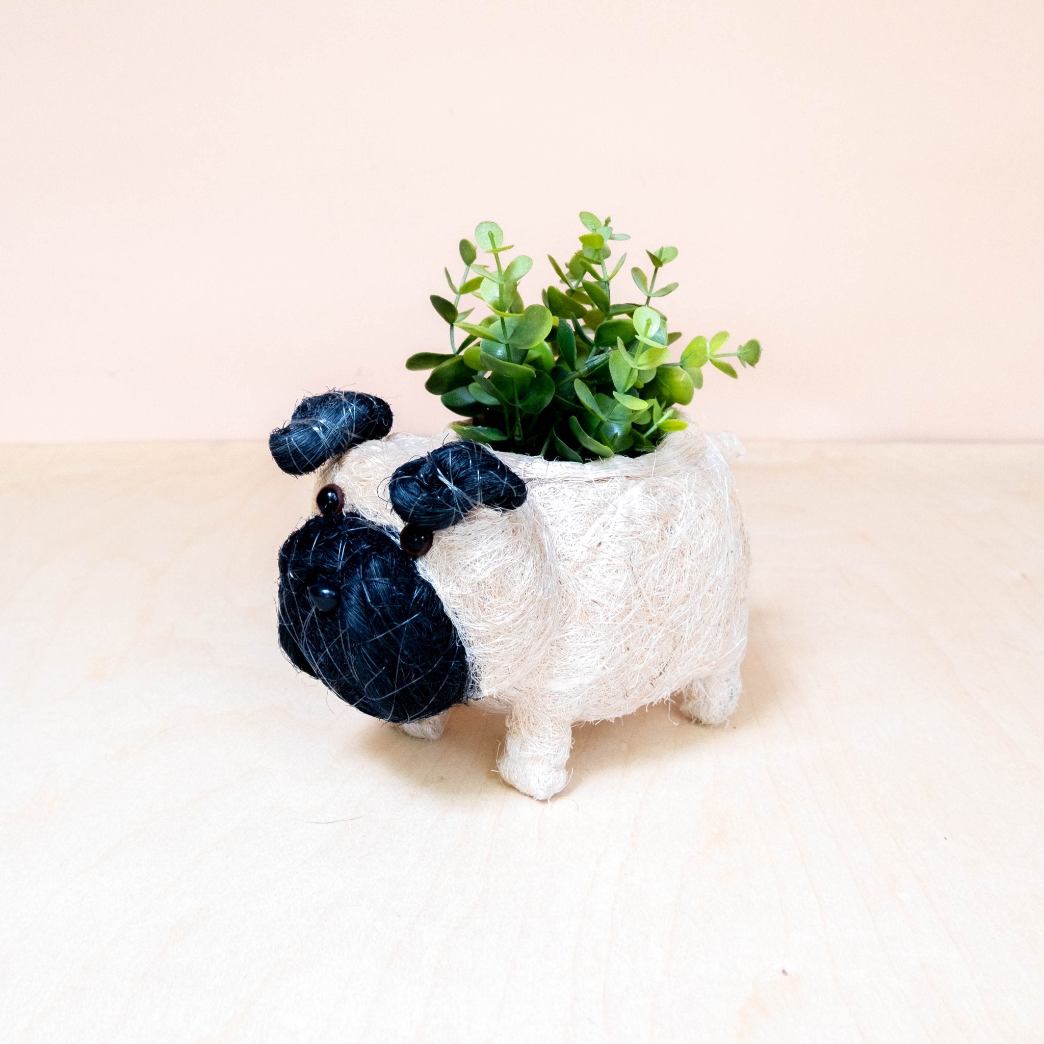 Planters - Baby Pug Planter - Coco Coir Pots | LIKHÂ - LIKHÂ