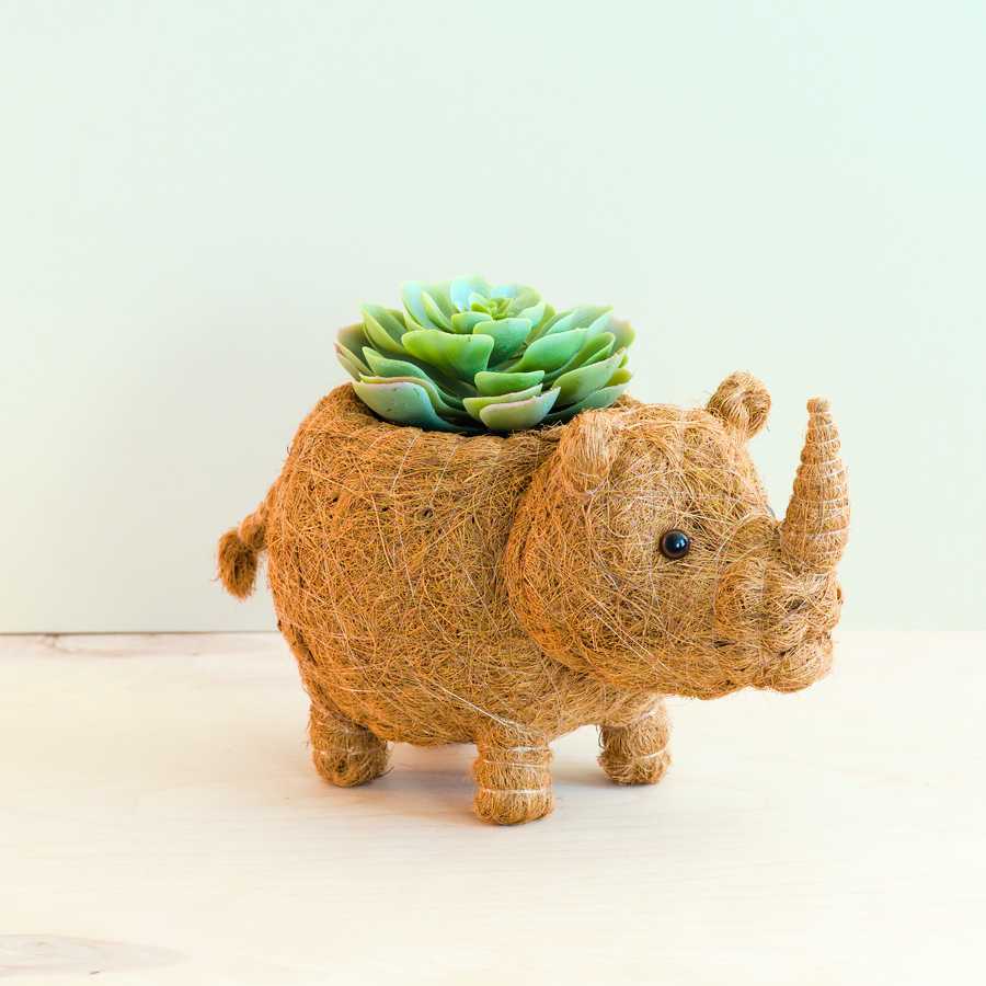 Planters - Baby Rhino Planter - Coco Coir Planter | LIKHÂ - LIKHÂ
