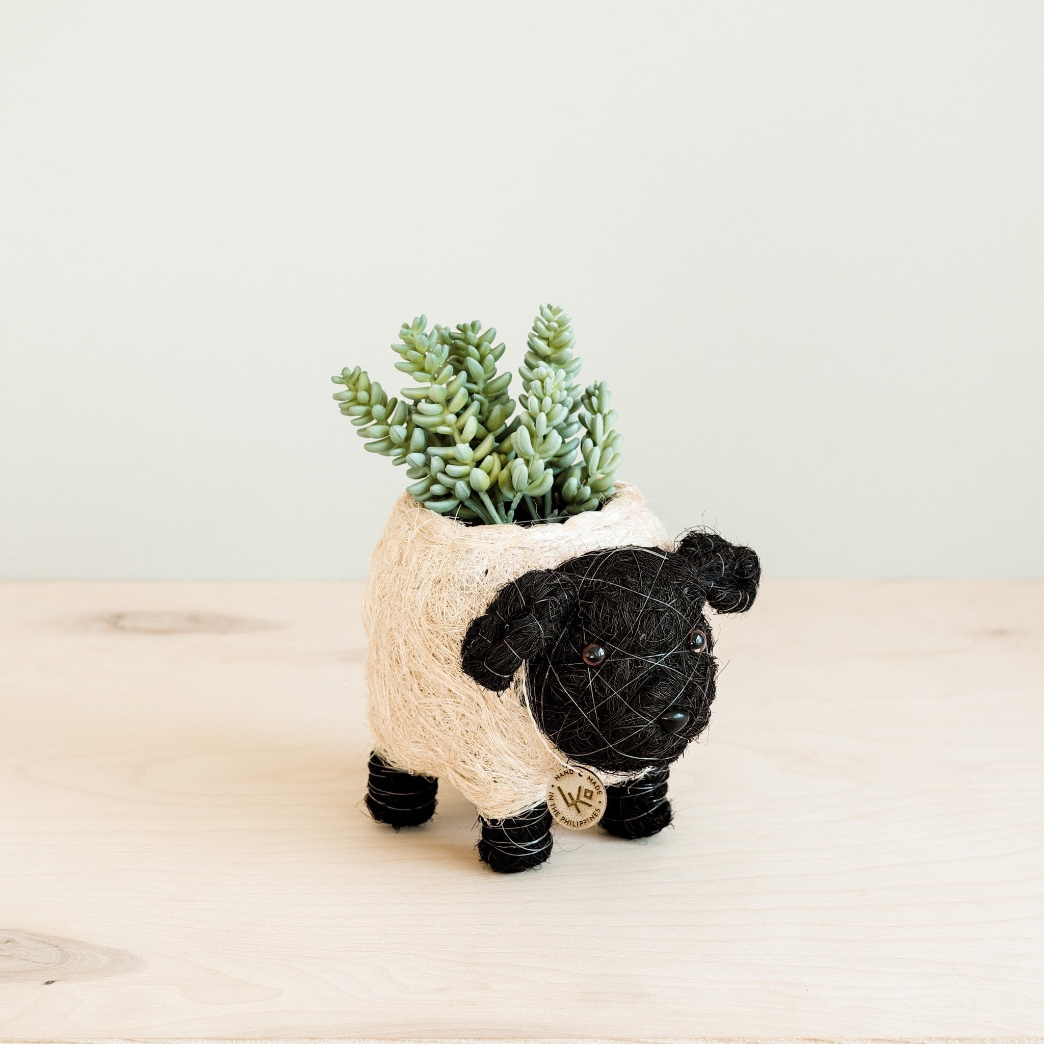 Planters - Baby Sheep Planter - Coco Coir Pots | LIKHÂ - LIKHÂ