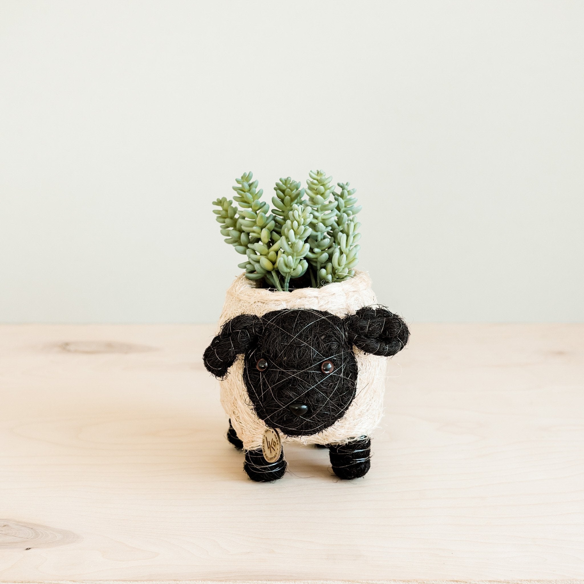 Planters - Baby Sheep Planter - Coco Coir Pots | LIKHÂ - LIKHÂ