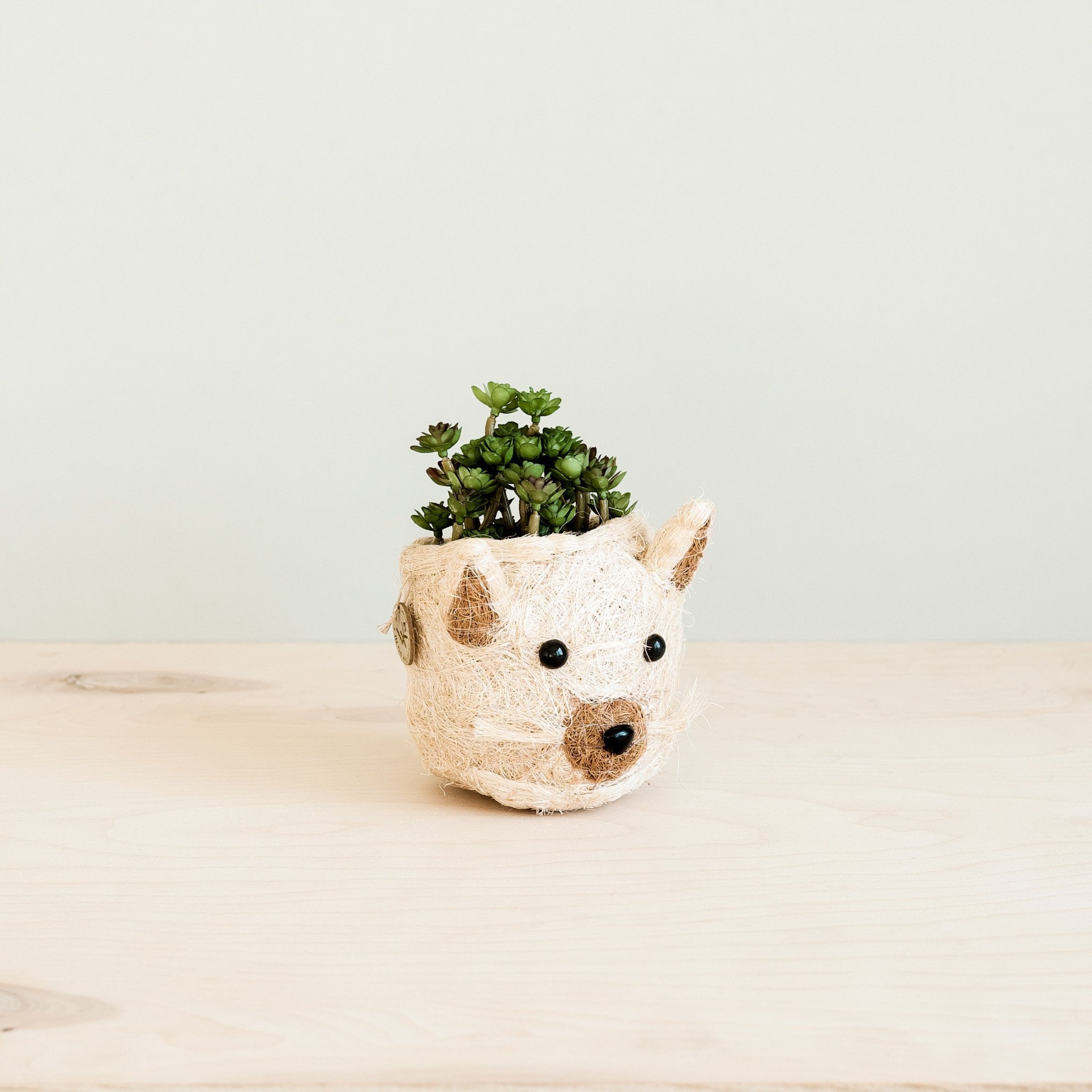 Planters - Cat Succulent Planter - Animal Head Planters | LIKHÂ - LIKHÂ