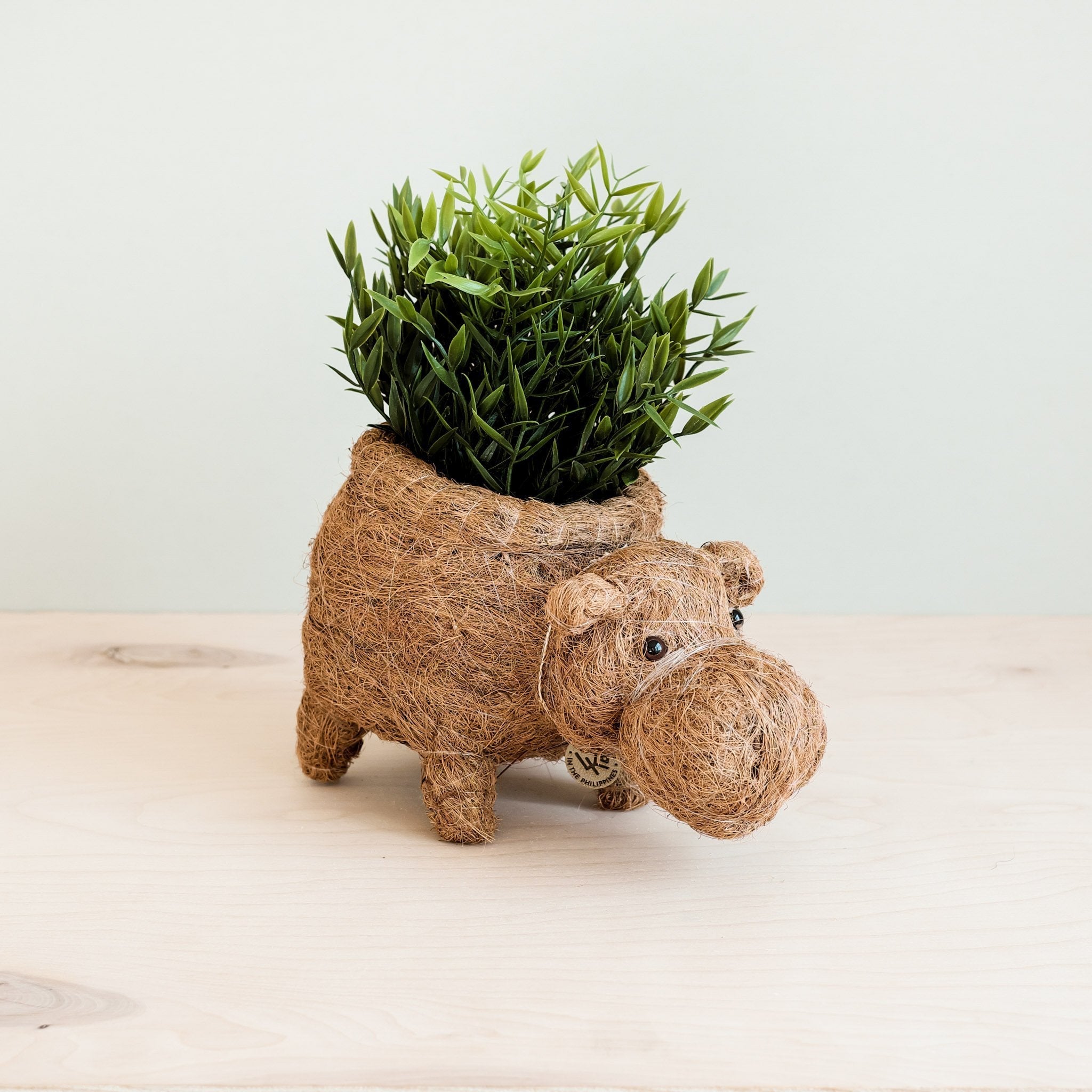 Planters - Hippo Planter - Coco Planter | LIKHÂ - LIKHÂ