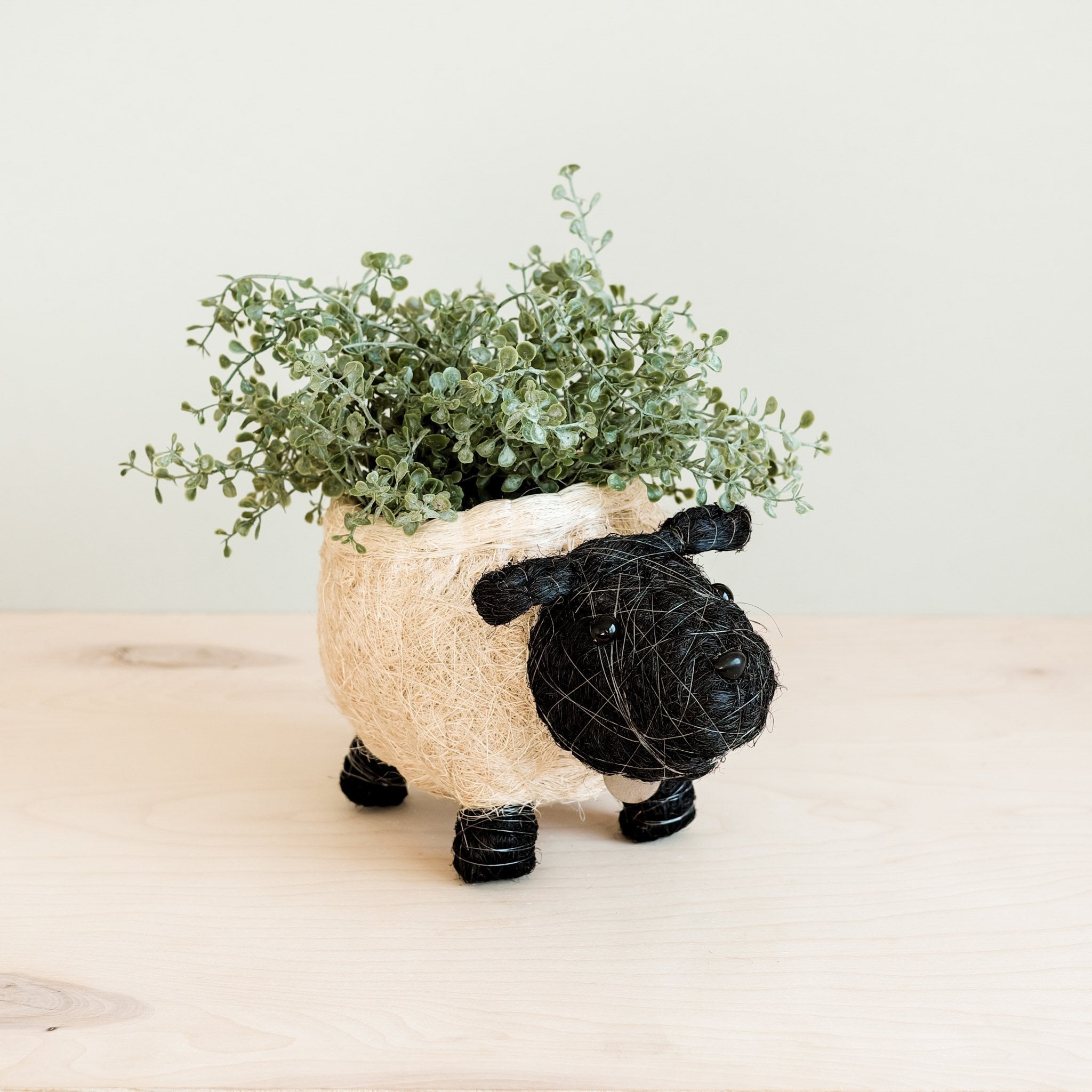 Planters - Sheep Planter - Coco Coir Pots | LIKHÂ - LIKHÂ