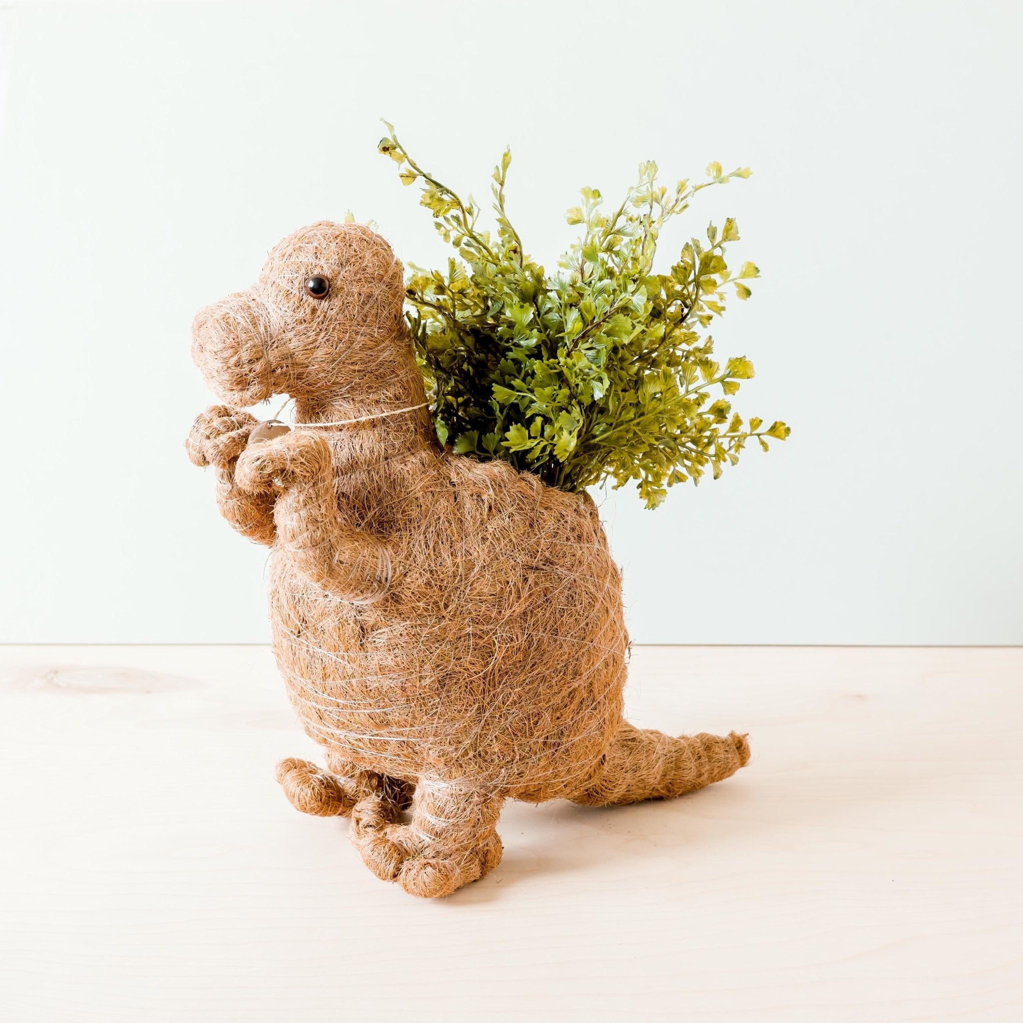 Planters - T-Rex Planter - Coco Coir Pots | LIKHÂ - LIKHÂ