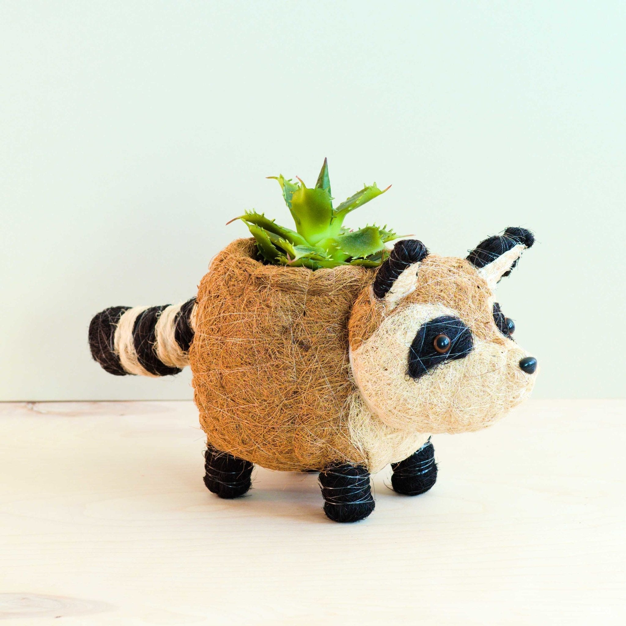 - Raccoon Planter - Handmade Plant Pot | LIKHA - LIKHÂ