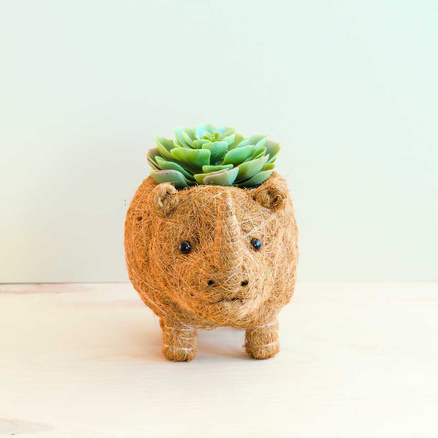 - Rhino Planter - Coco Coir Pot | LIKHA - LIKHÂ