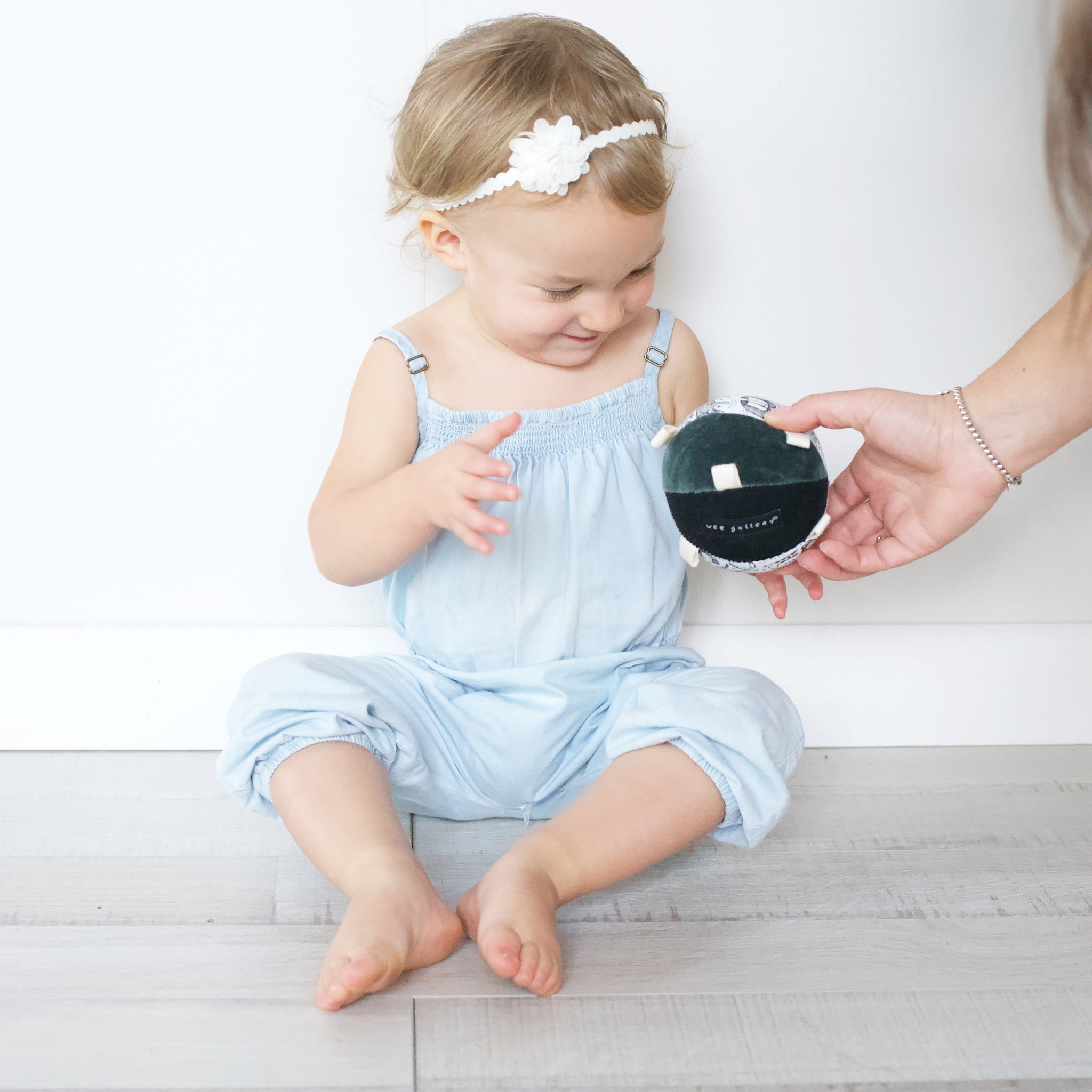 Taggy Ball with Rattle (Wild)