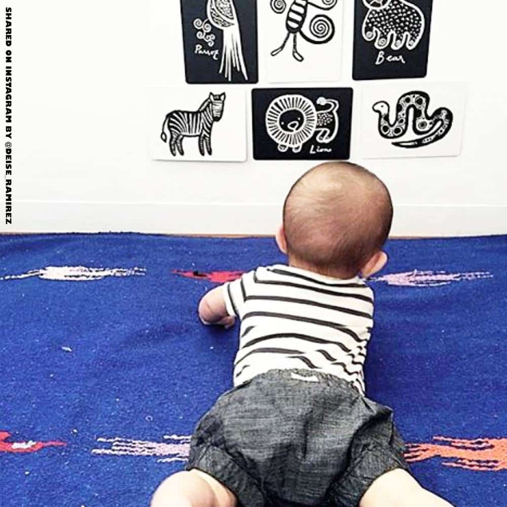 Art Cards for Baby (Woodland Collection)