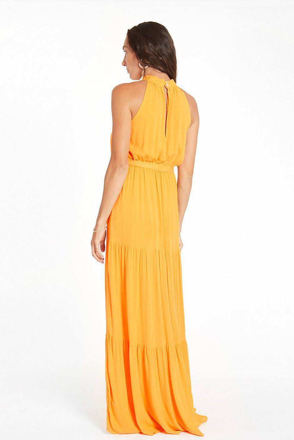 Gia Maxi Dress Dress Paneros