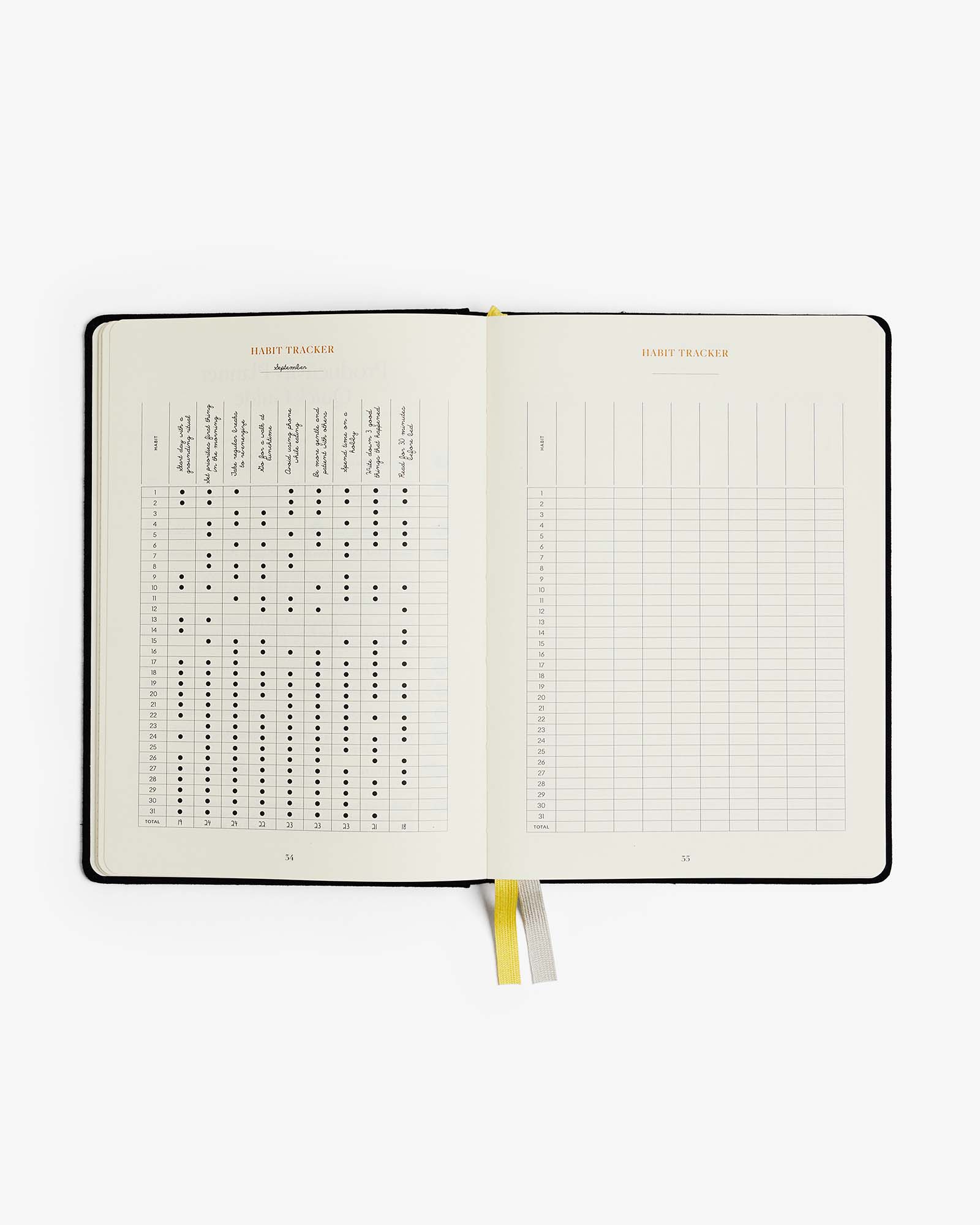 Productivity Planner (Black)