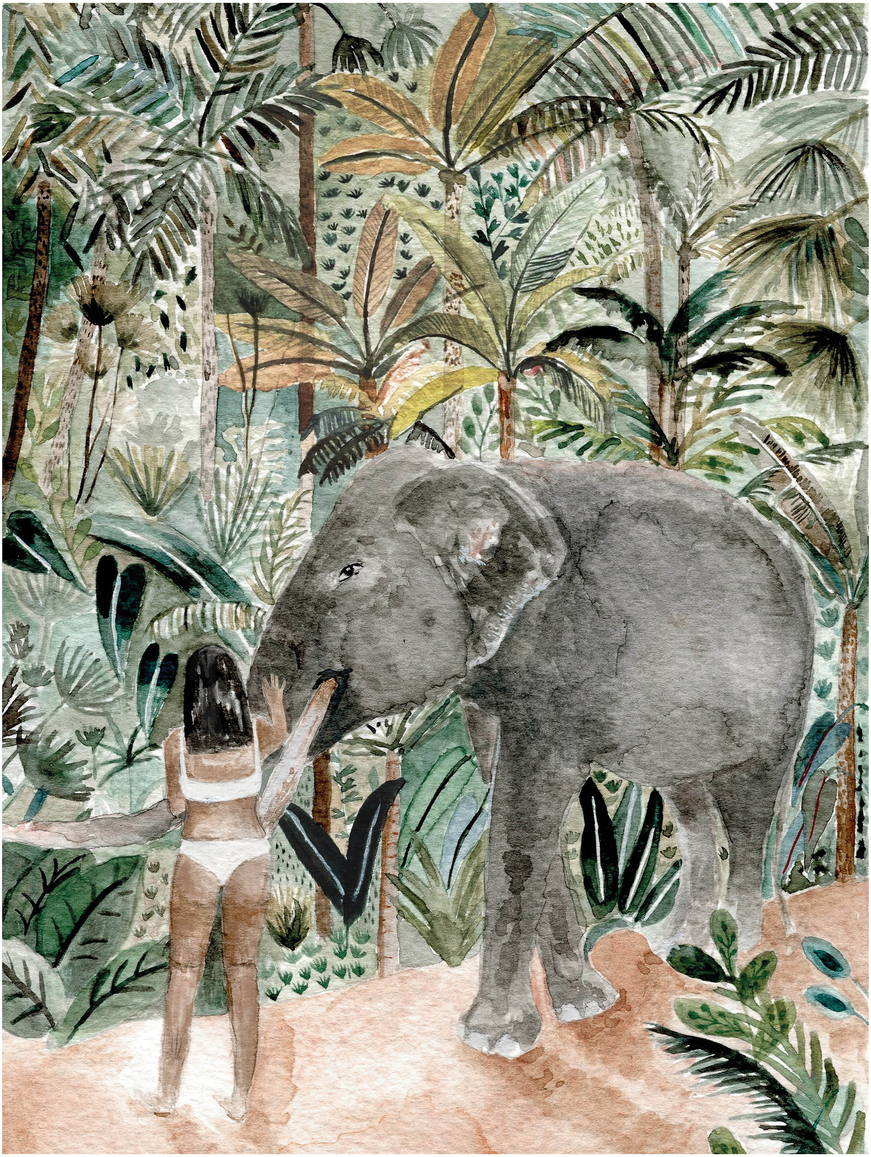 Jungle Afternoons, Isabelle Vandeplassche