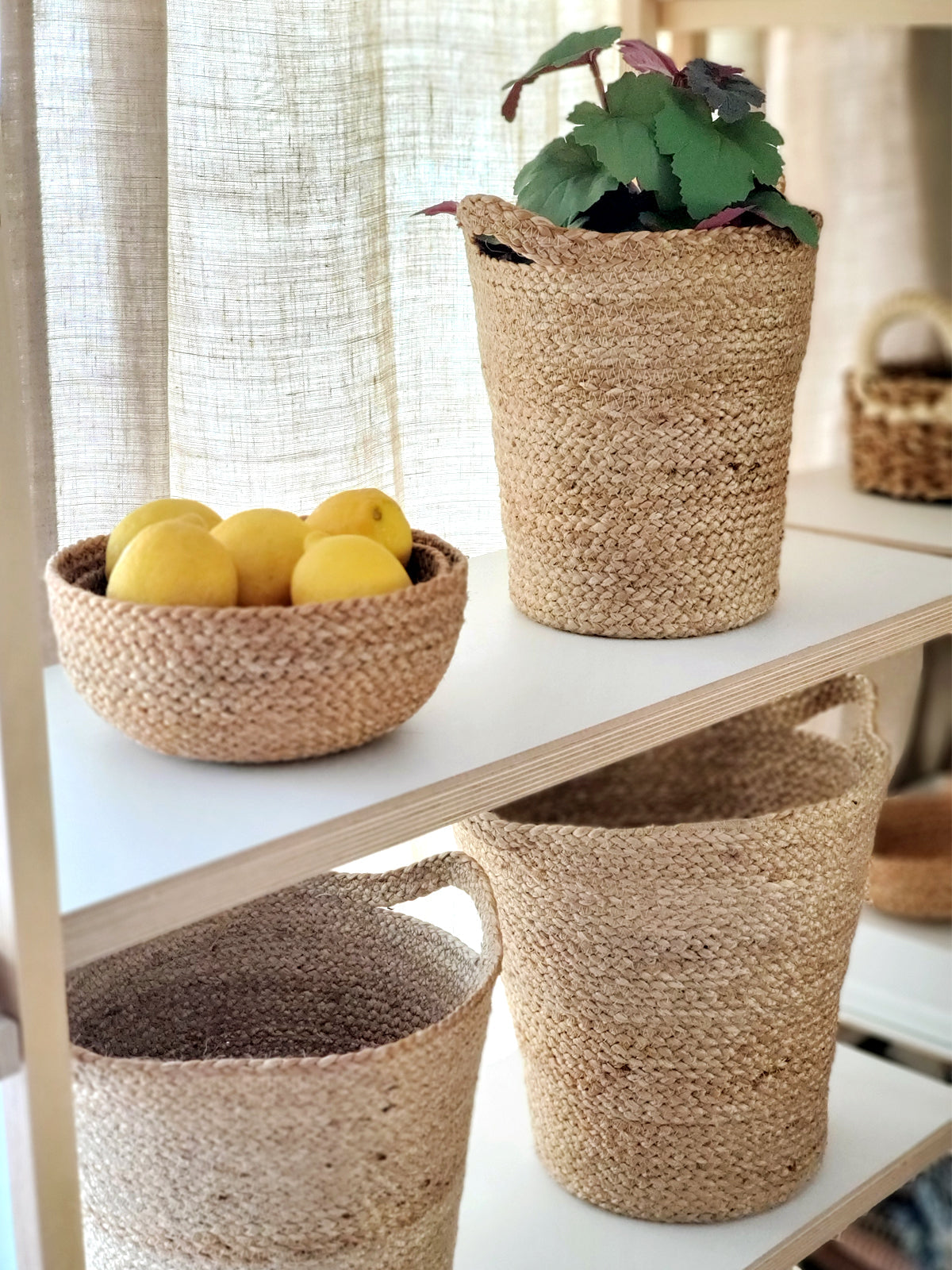 Kata Natural Candy Bowl (Set of 4)