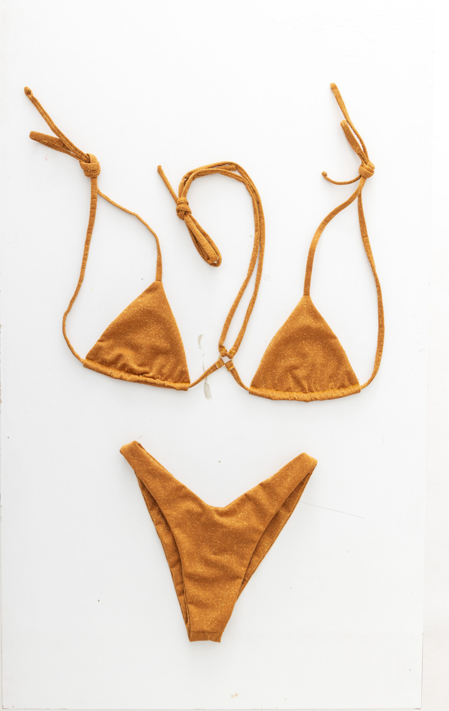 Noami Sparkly Metallic Triangle Bikini Top