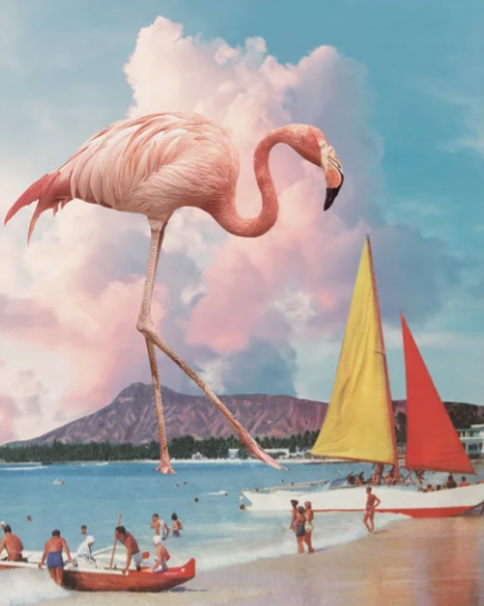 Flamingo Playground, Karen Lynch