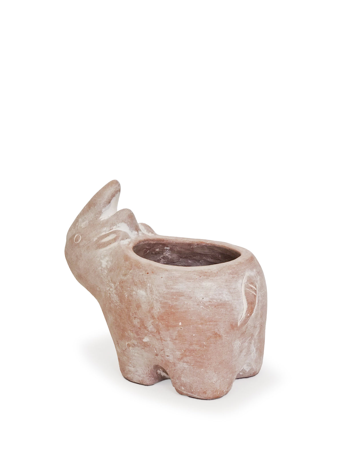 Terracotta Pot (Rhino)