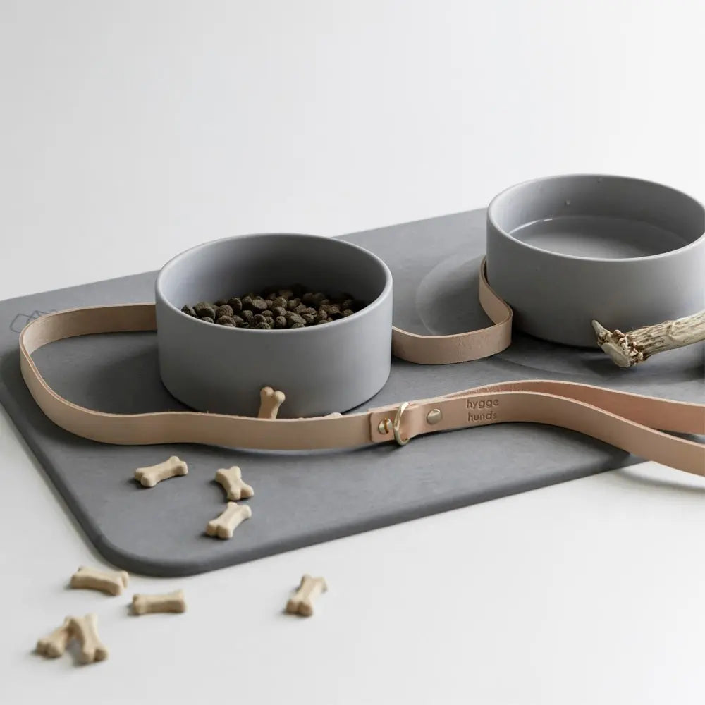 ceramic pet bowls with matching quick-drying stone base and dog leash