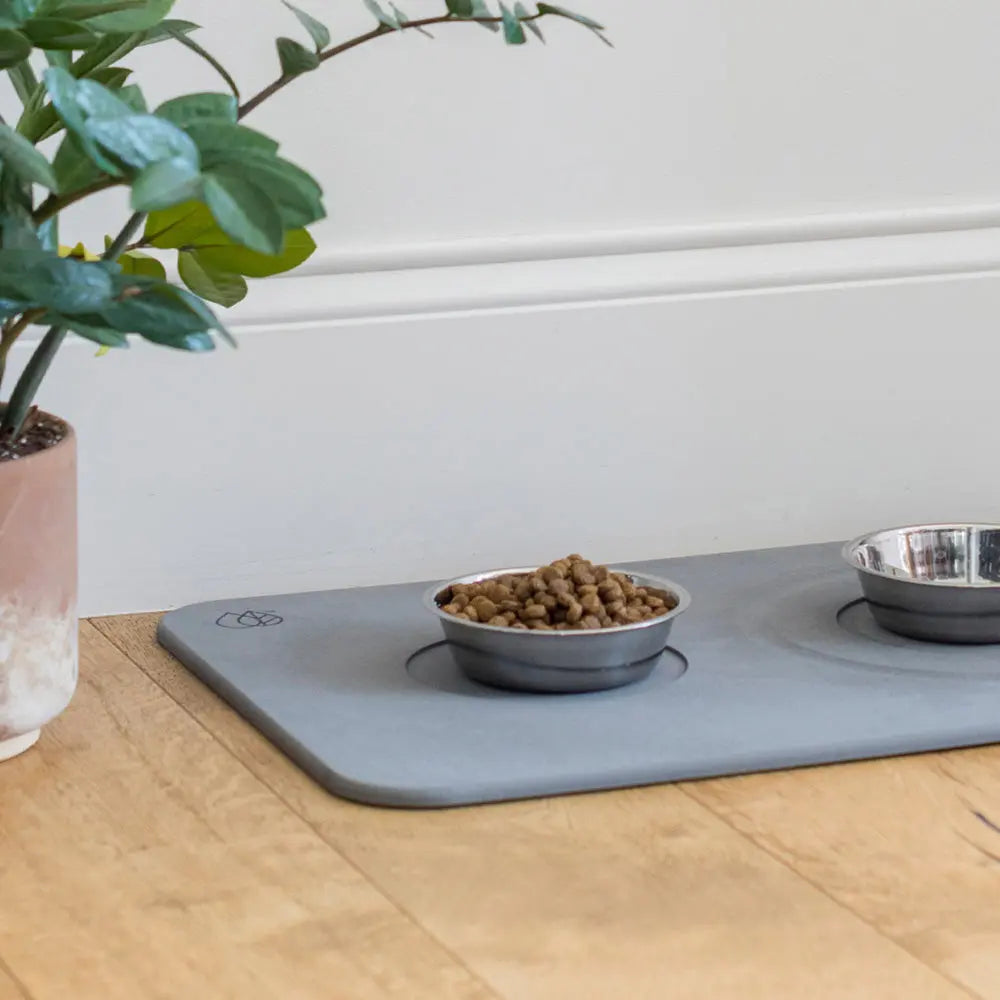 metal dishes set on modern pet feeding station