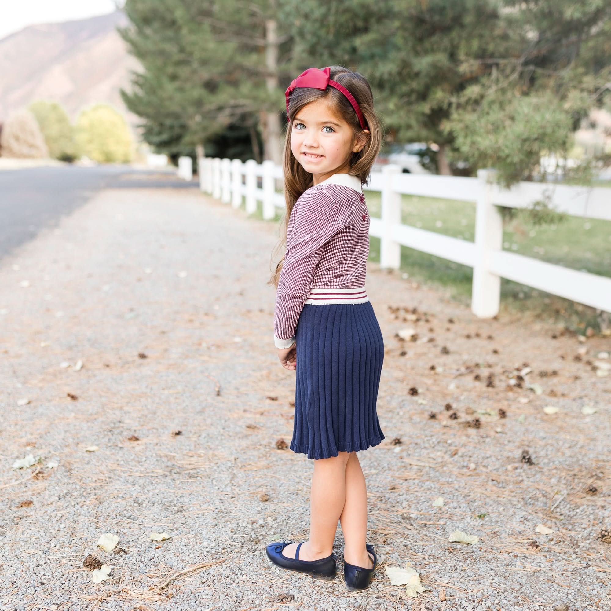 French Blocked Sweater Dress (Berry & Navy)