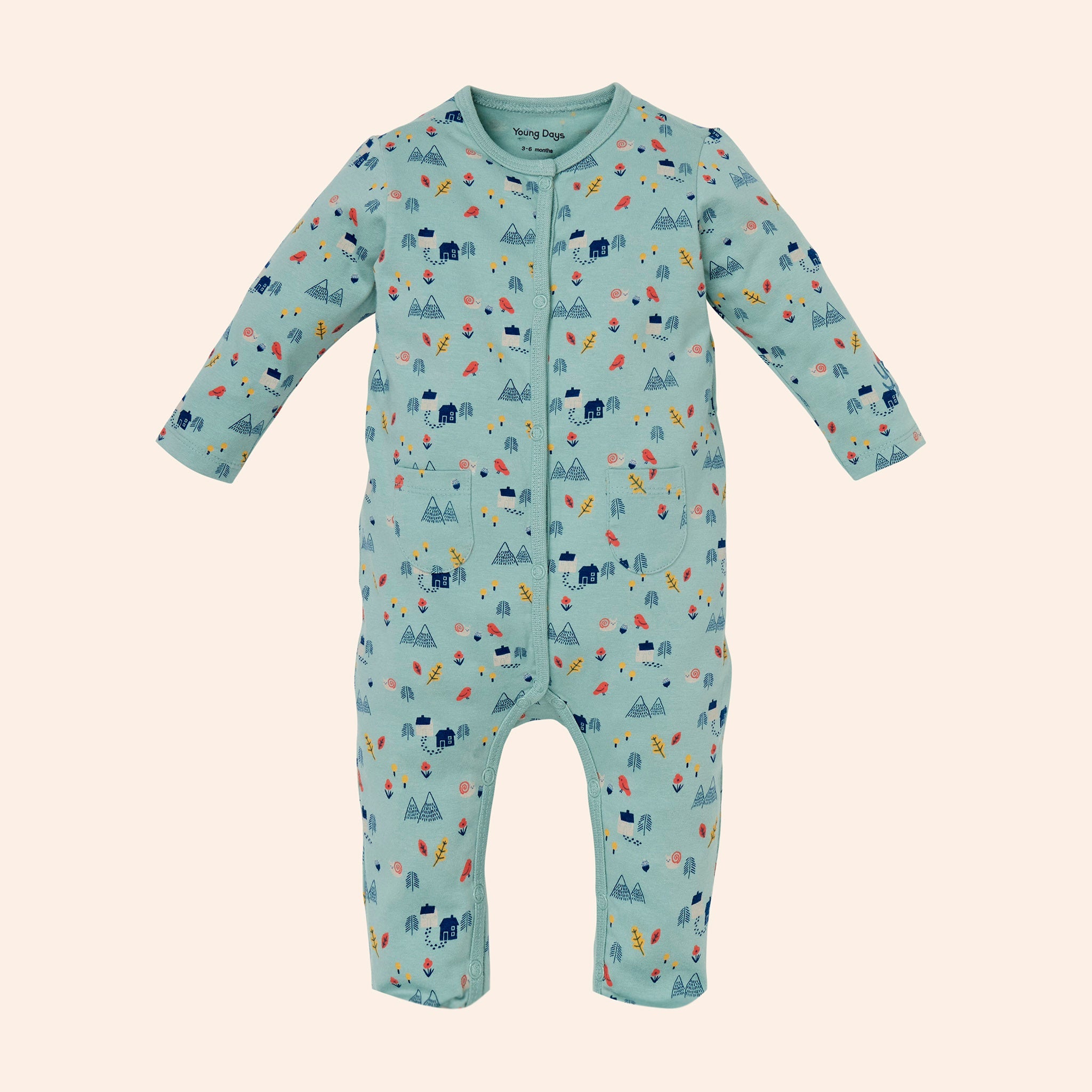 Fayetteville Sleeper