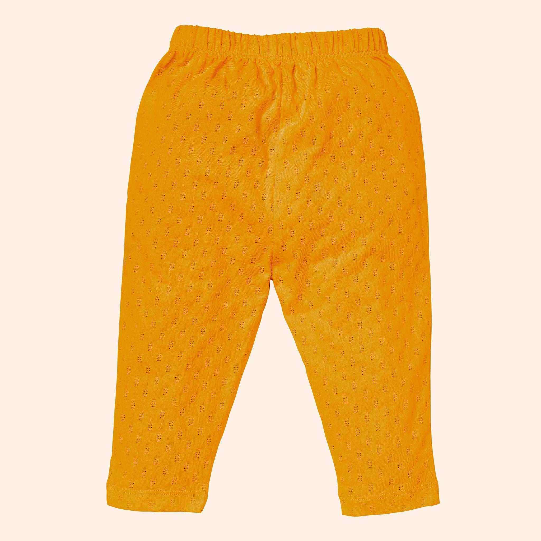Provo Pant (Golden Orange)