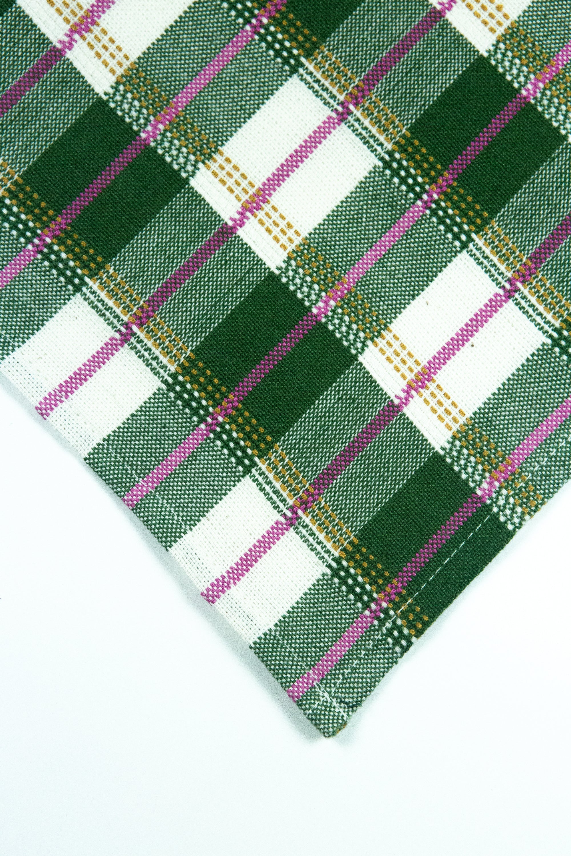 San Andres Gingham Placemat (Forest & Ivory)