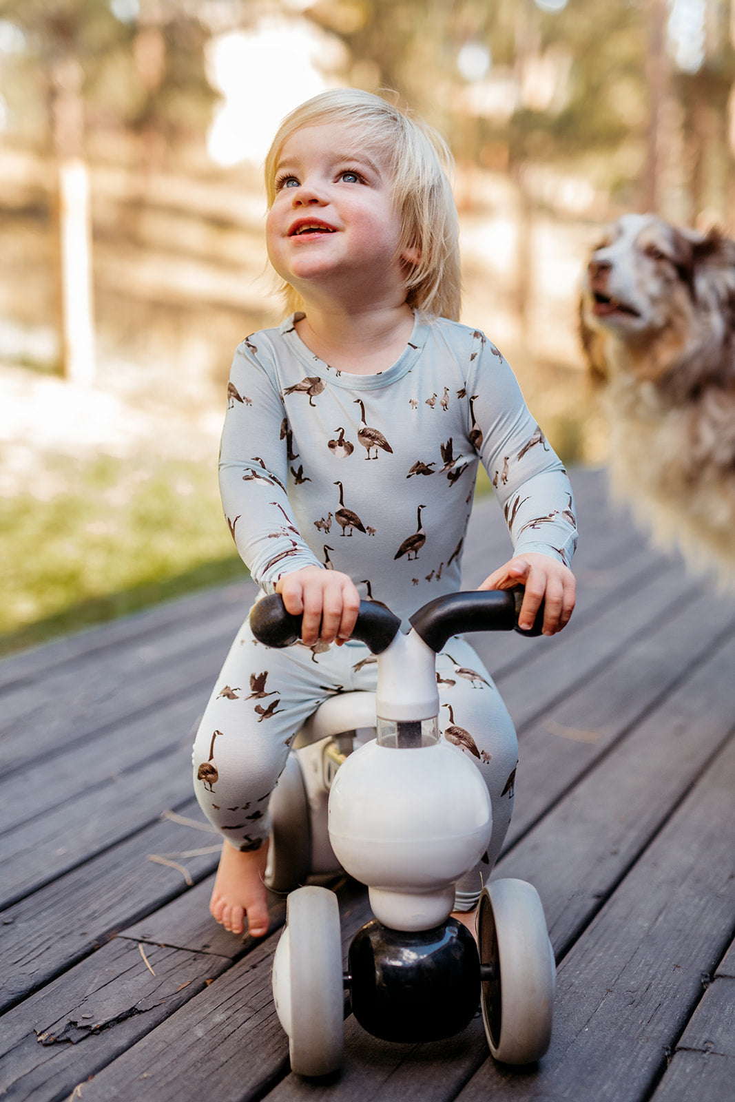 Goose Luxe Stretch Long Sleeve Two Piece Pajama Set