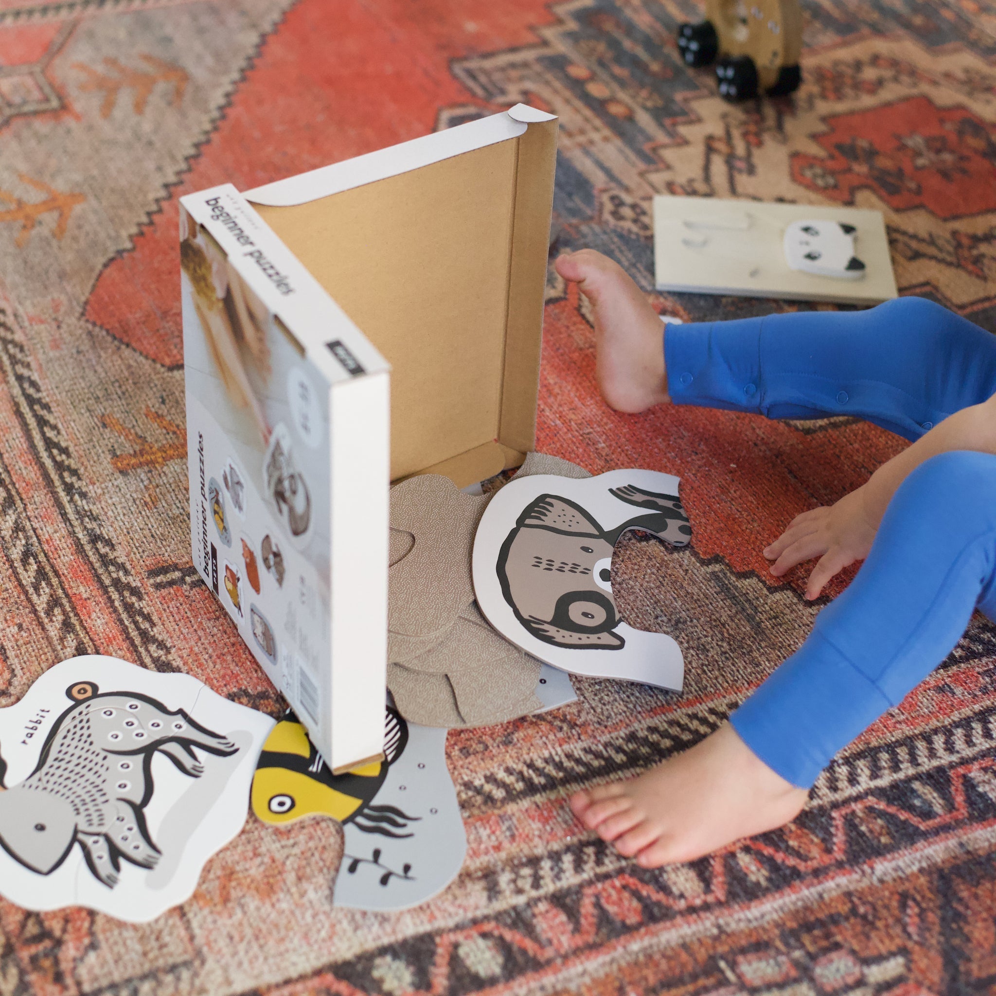 Beginner Puzzles (Pets)