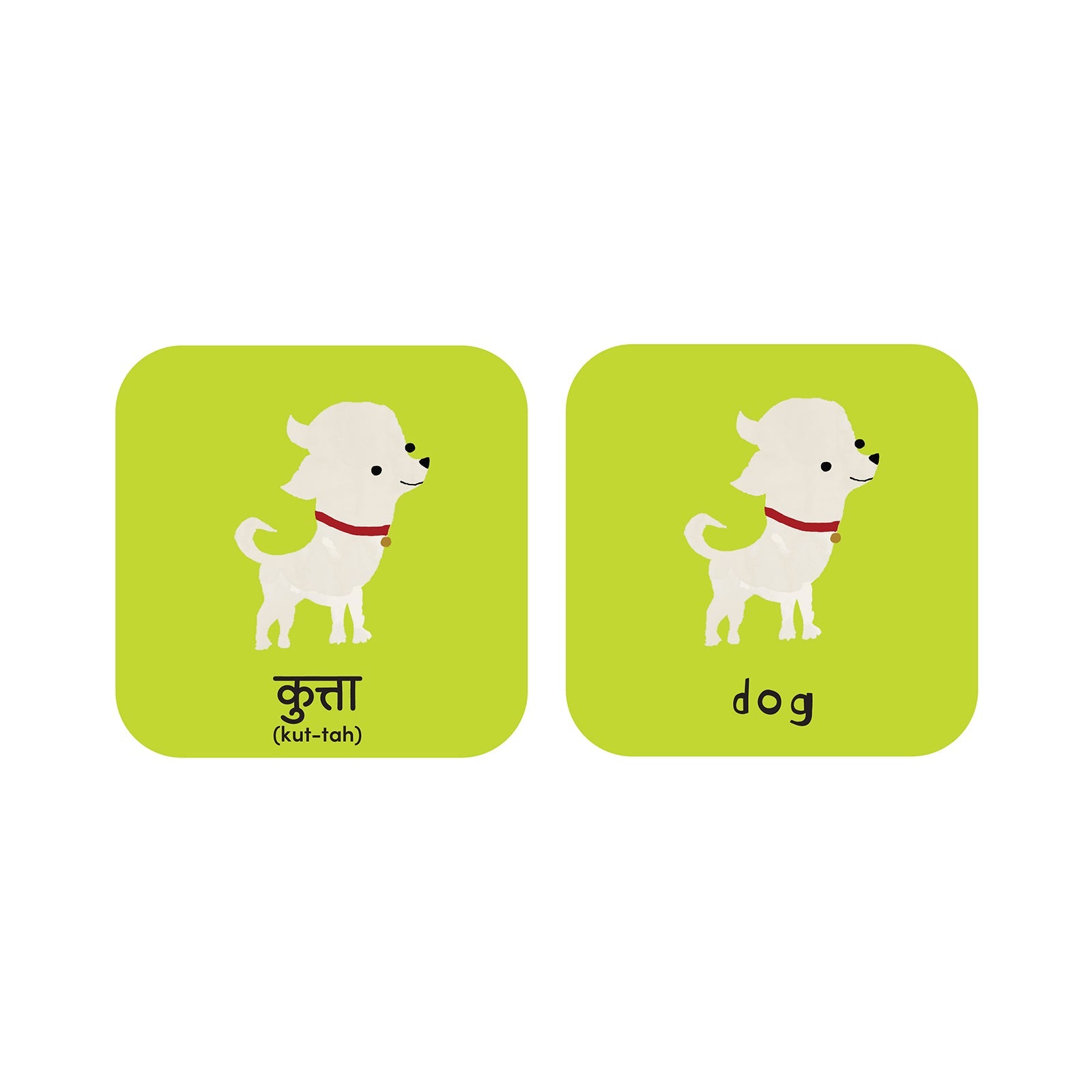 Minilingo Flashcards (English/Hindi)