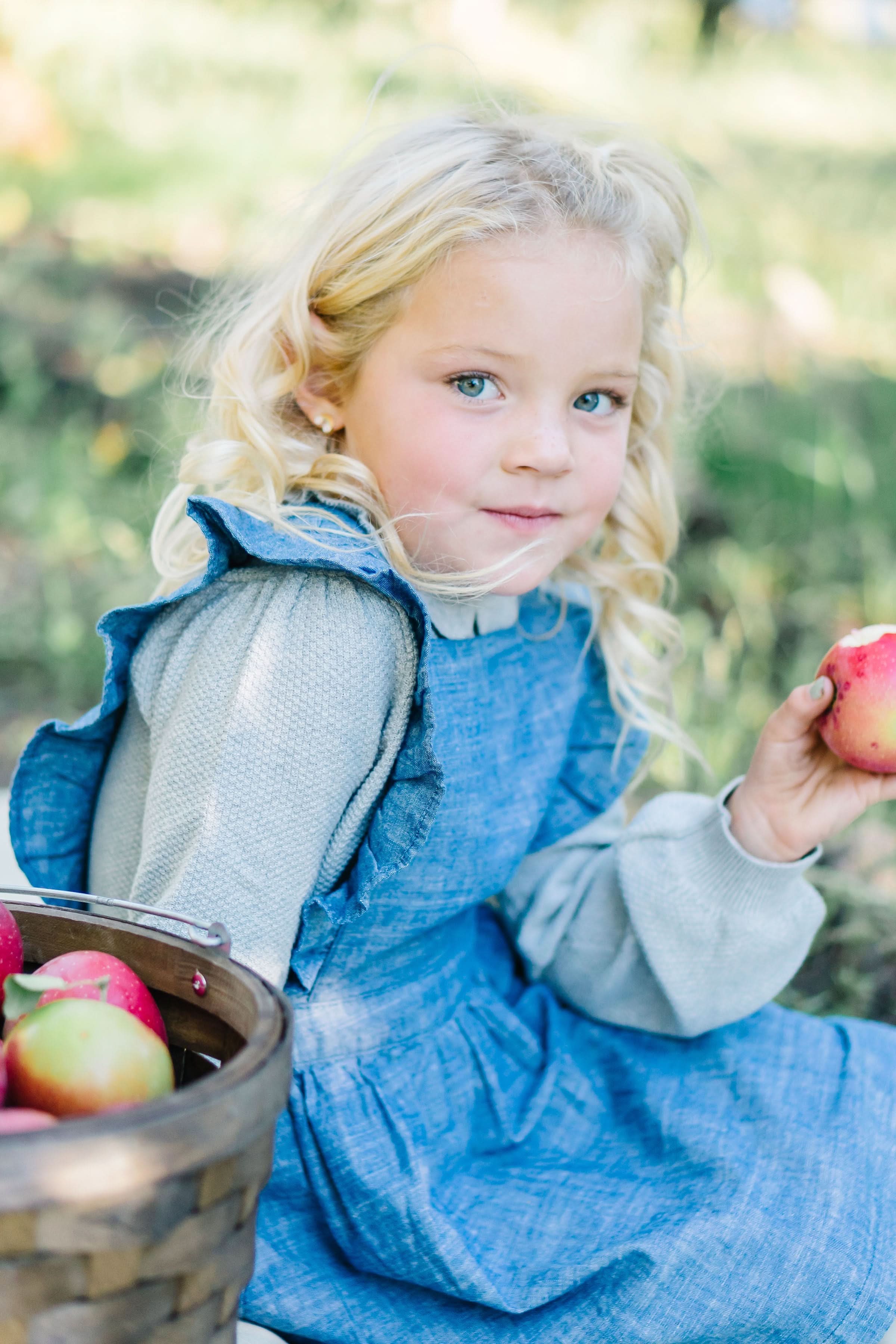Chambray Ruffle Jumper (Blue)