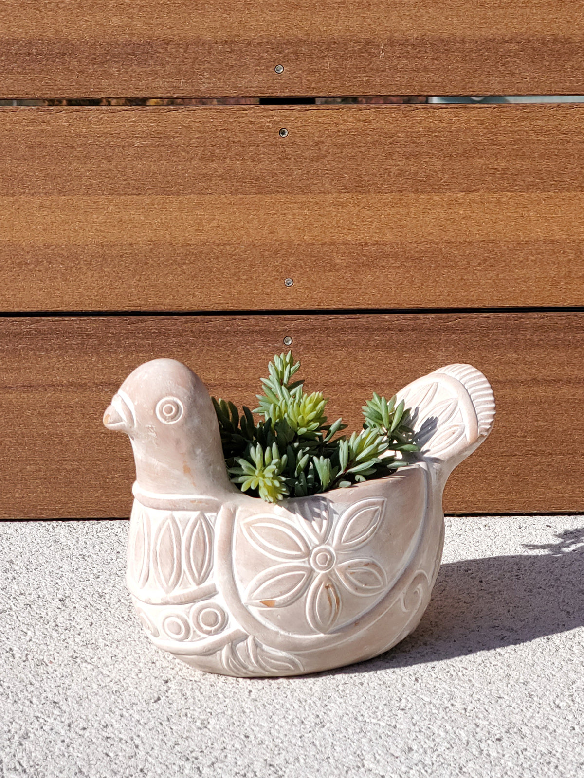 Terracotta Pot (Spotted Dove)