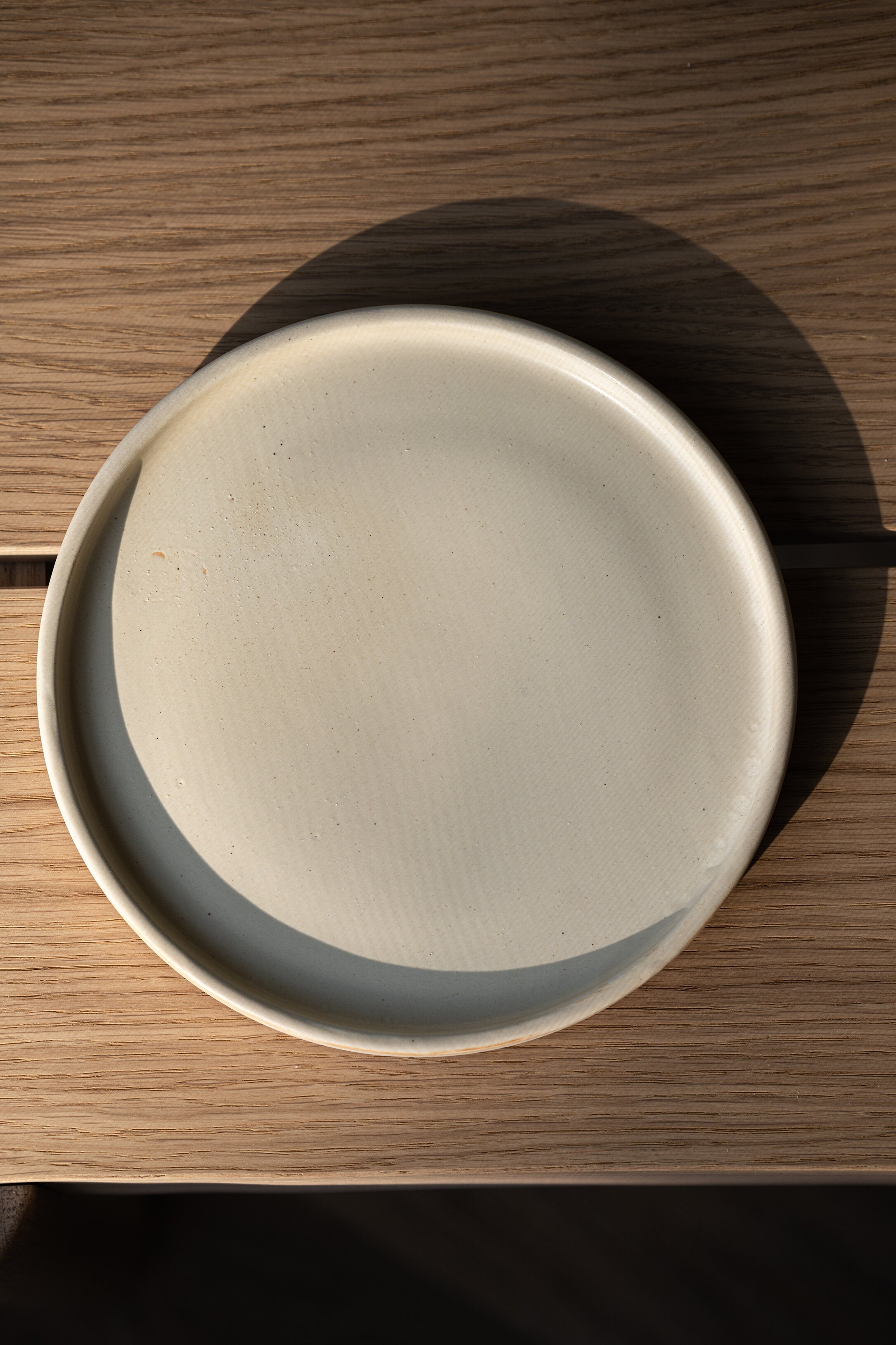 Matte Stoneware Dinner Plates (Beige)